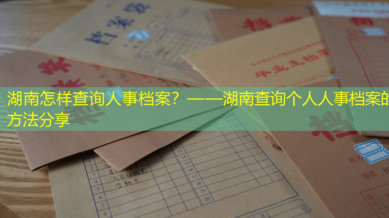 档案查询