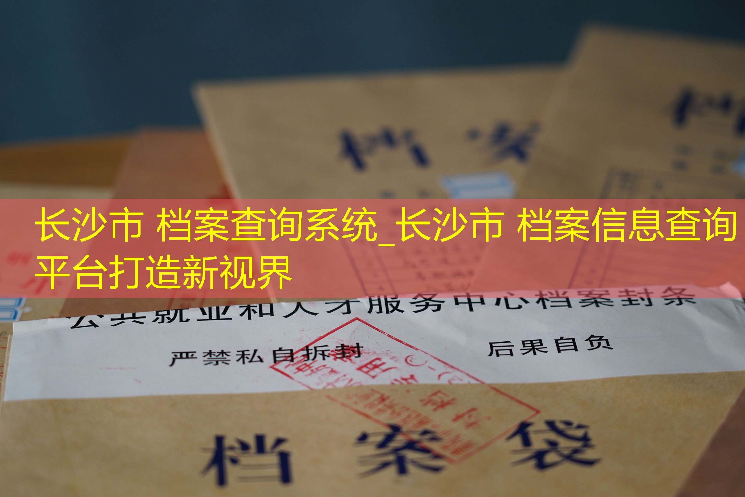 档案查询