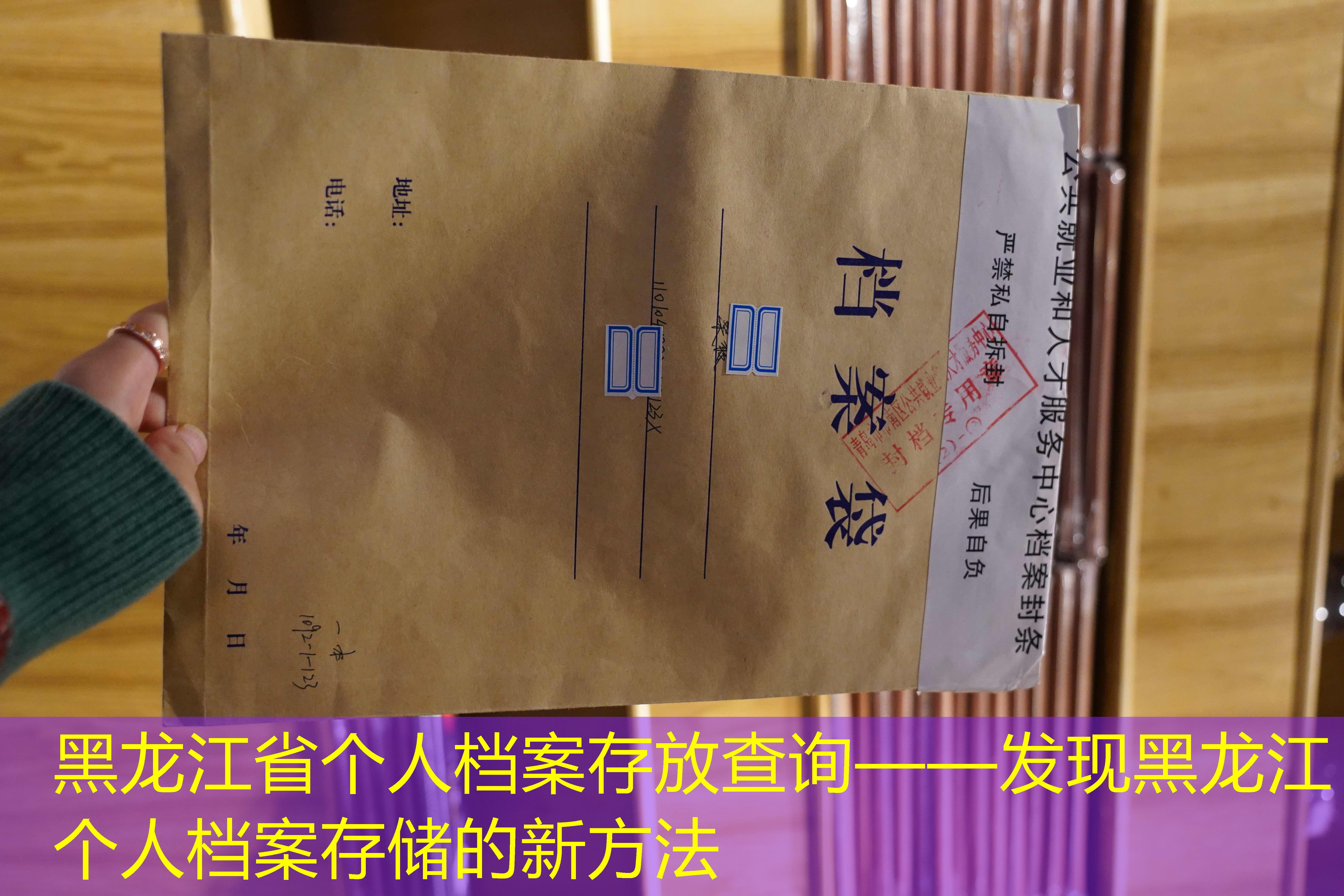 档案查询