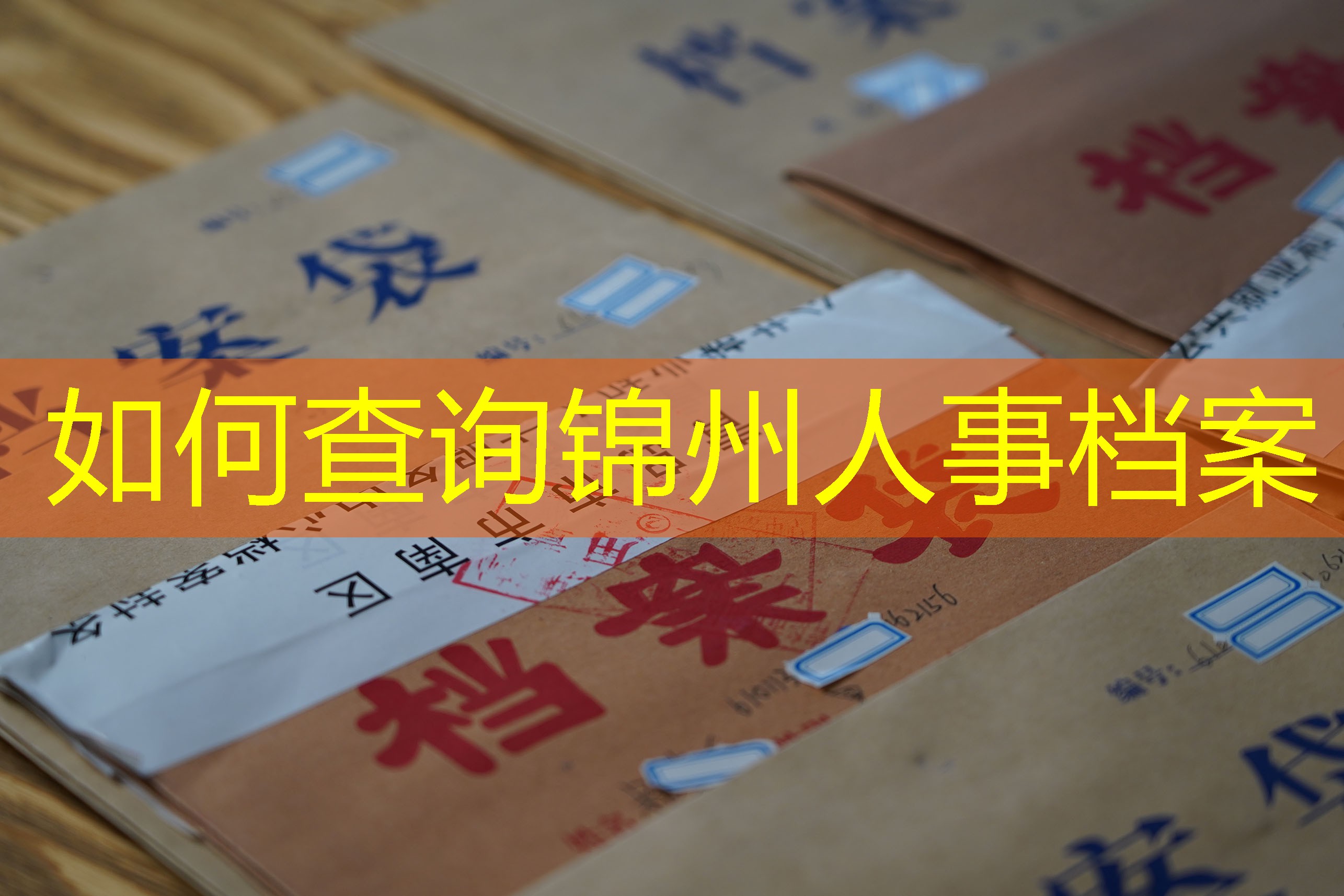 档案查询