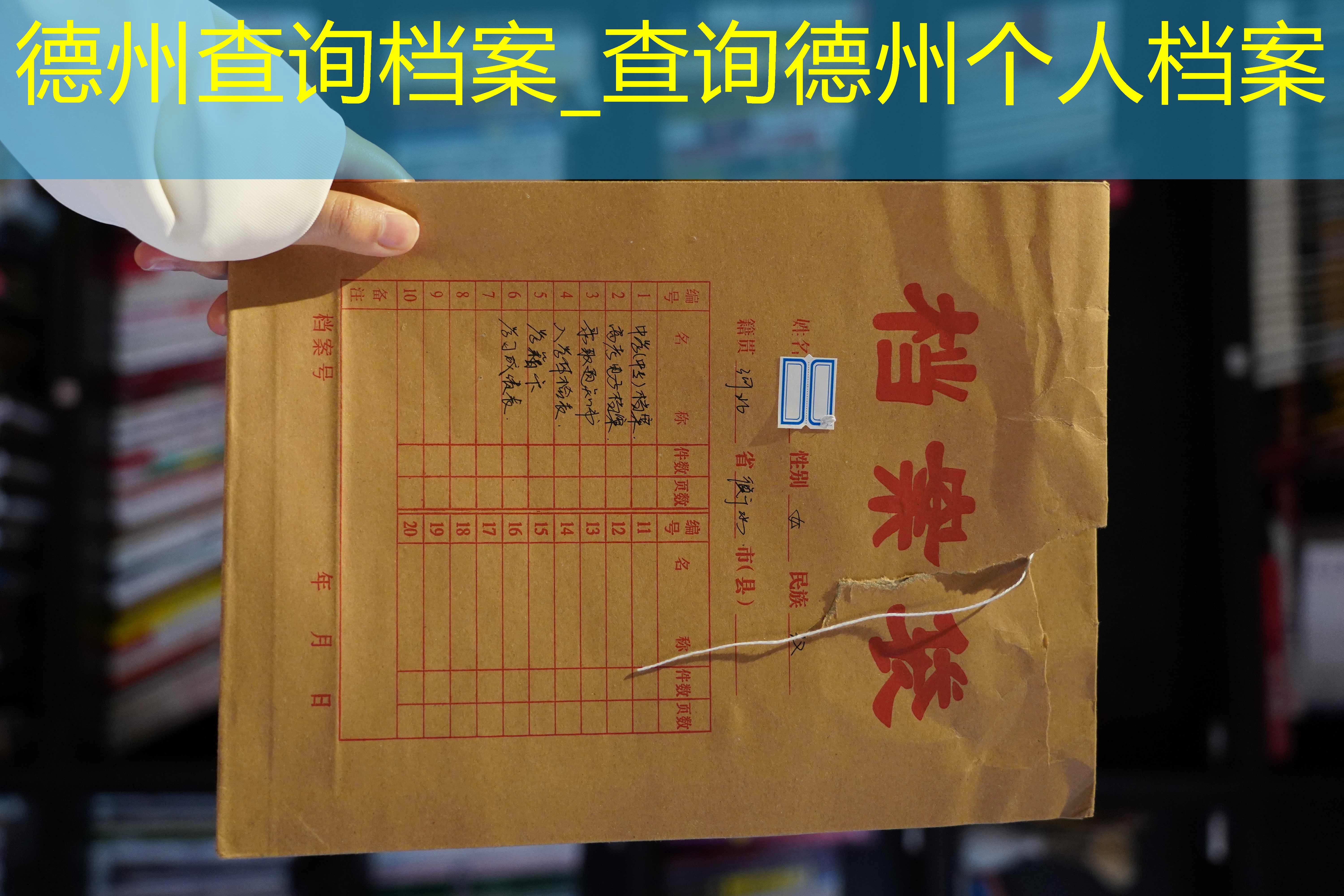 档案查询