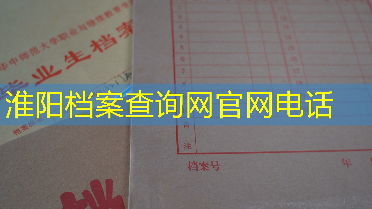 档案查询