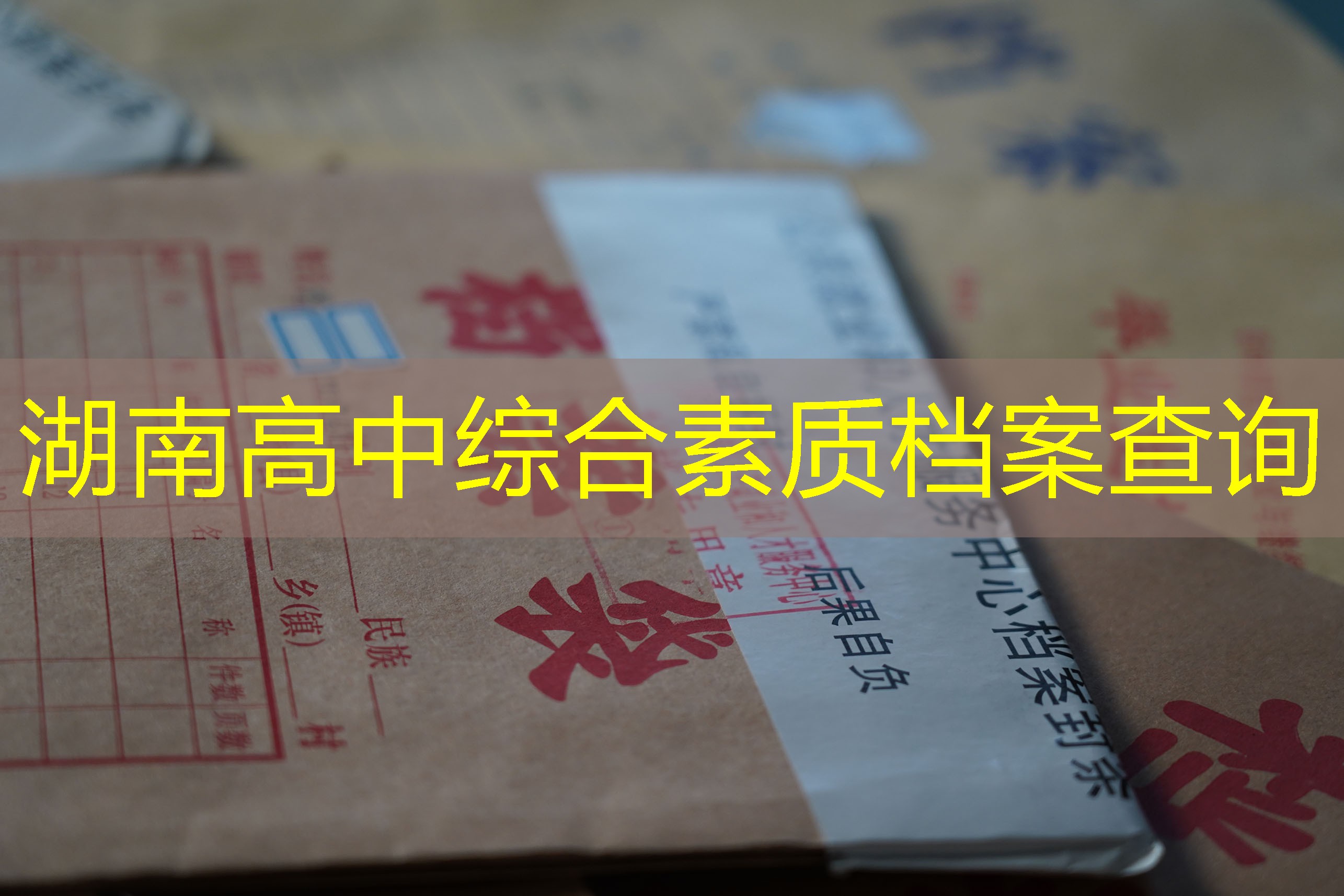 档案查询