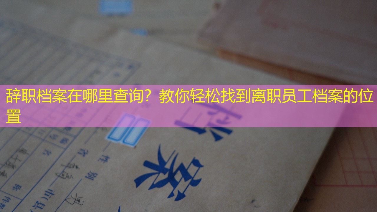 档案查询