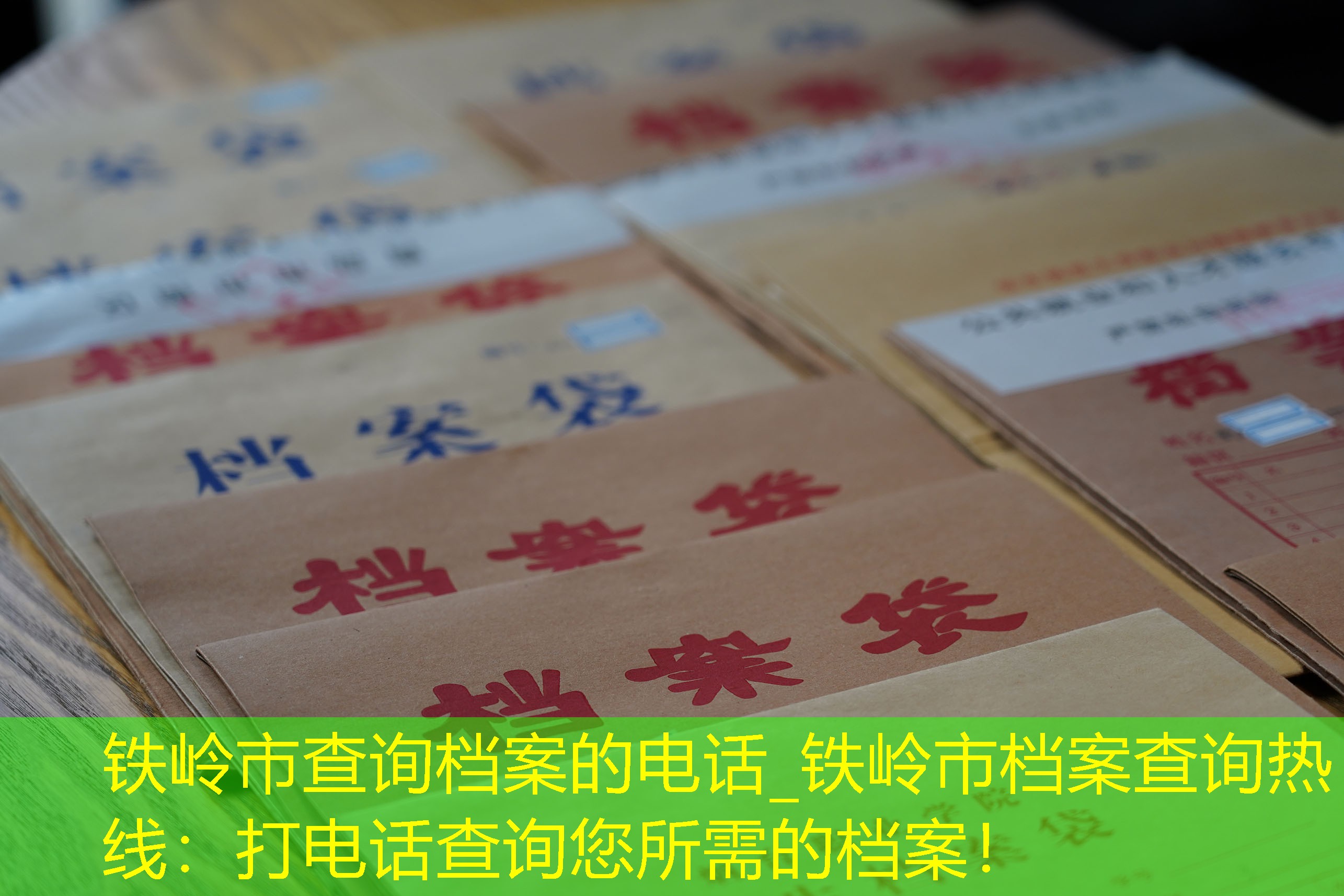 档案查询