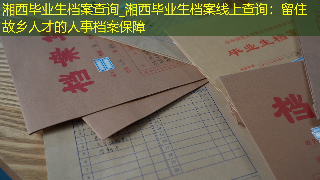 档案查询