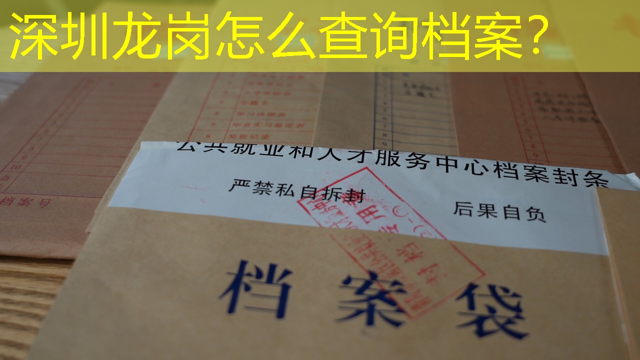 档案查询