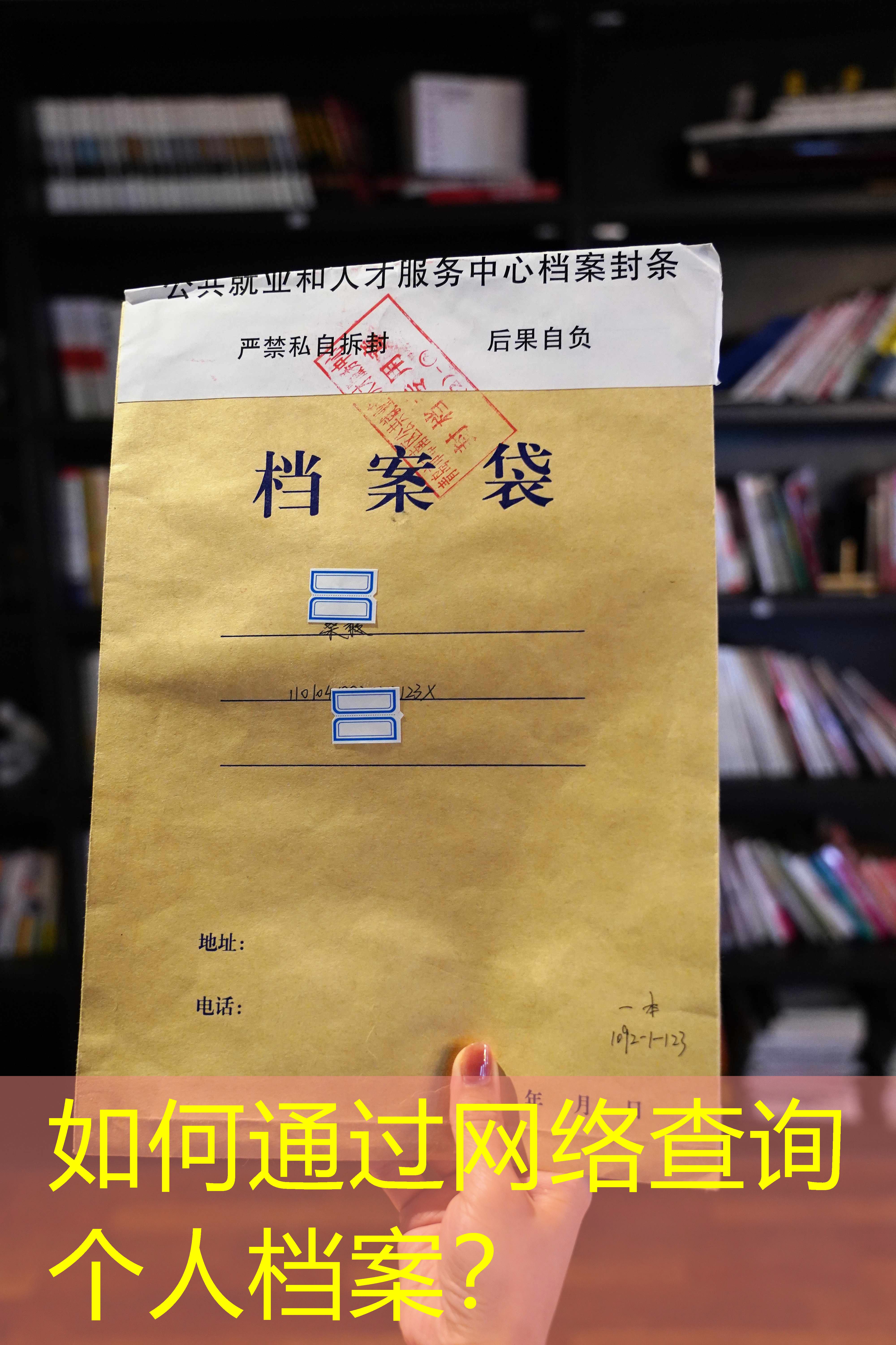 档案查询