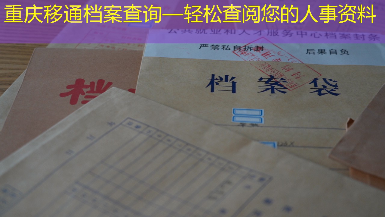 档案查询