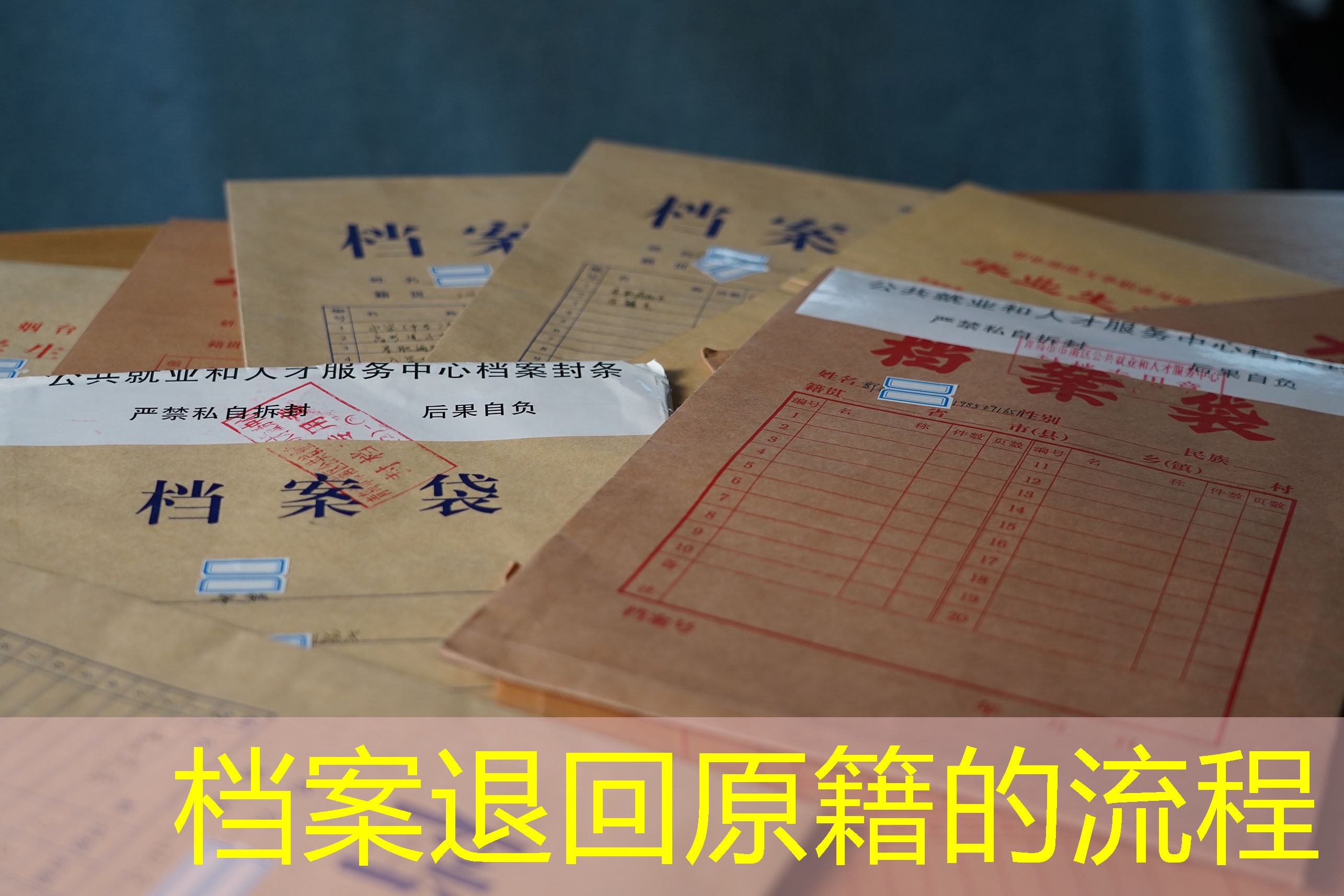 档案查询