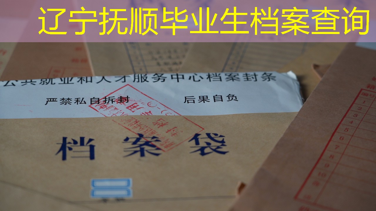 档案查询