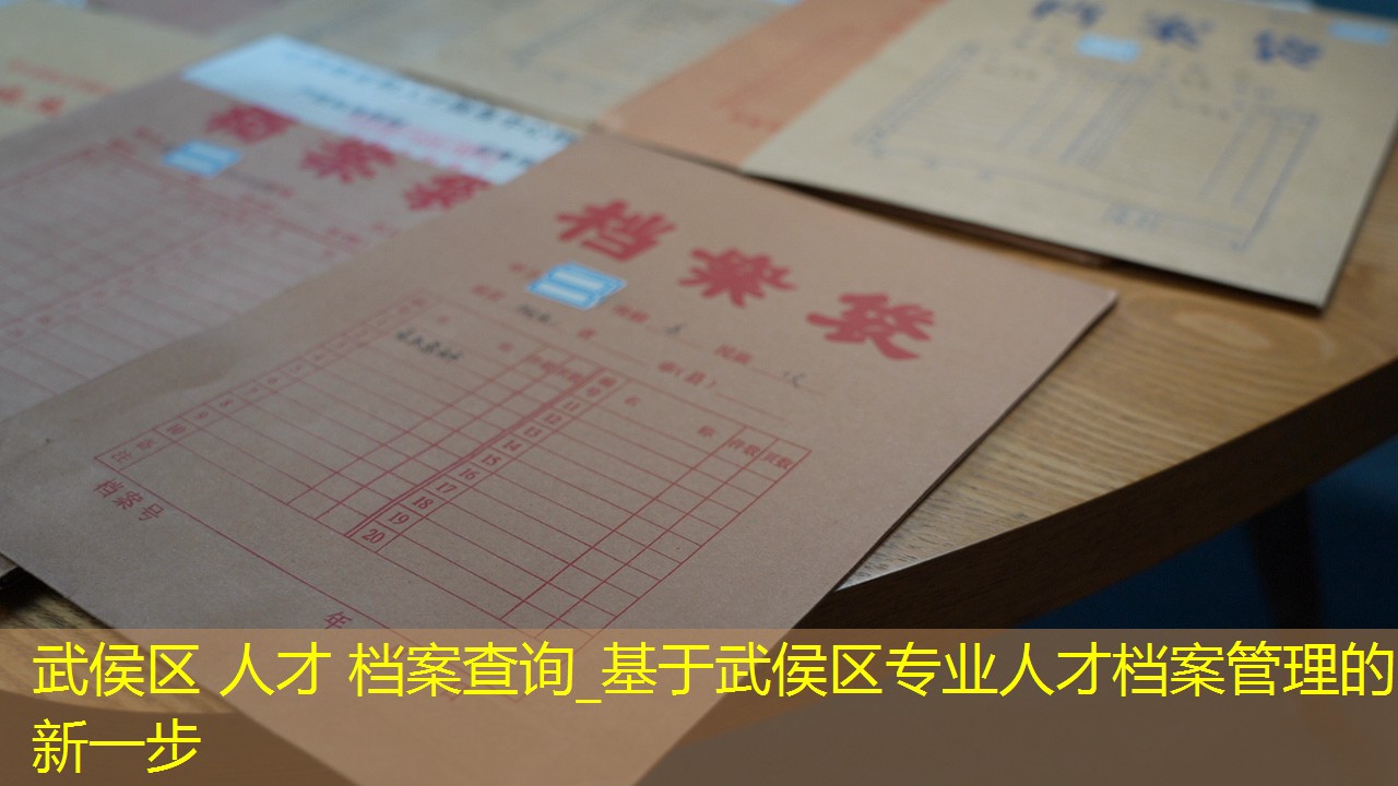 档案查询