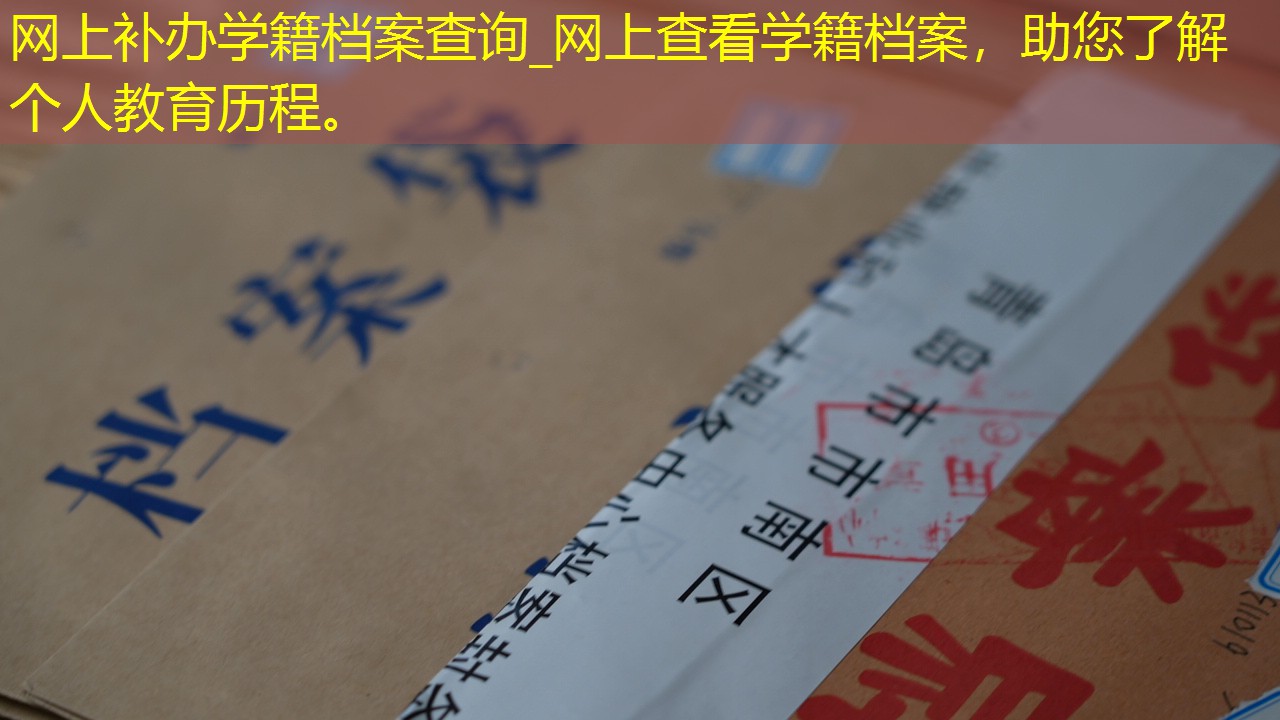档案查询