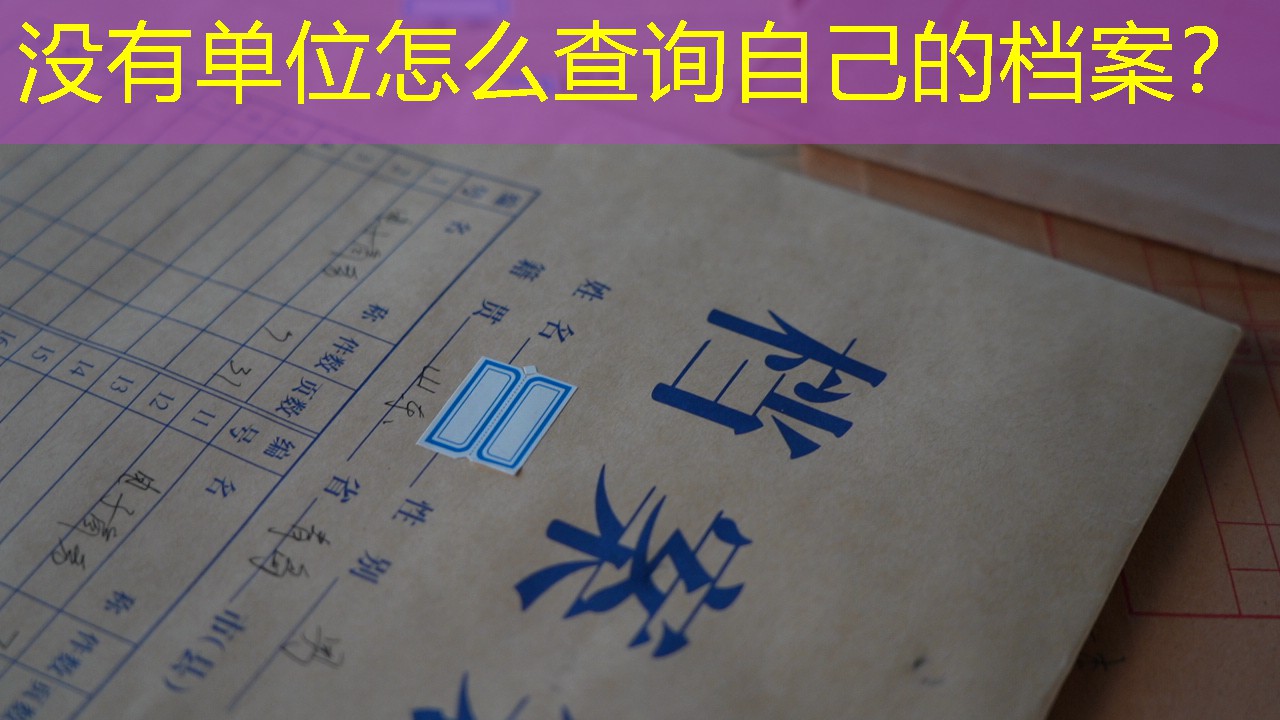 档案查询