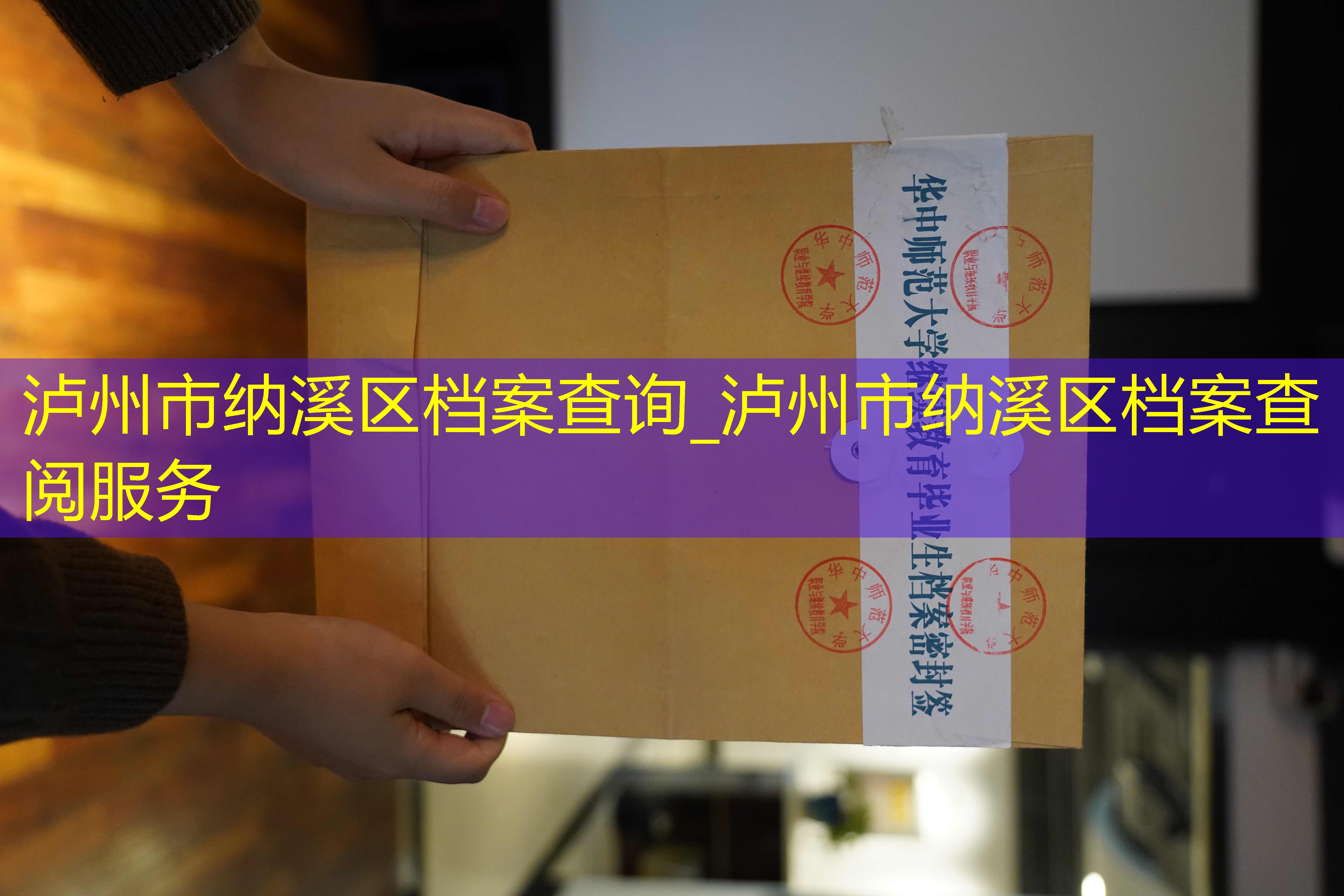 档案查询