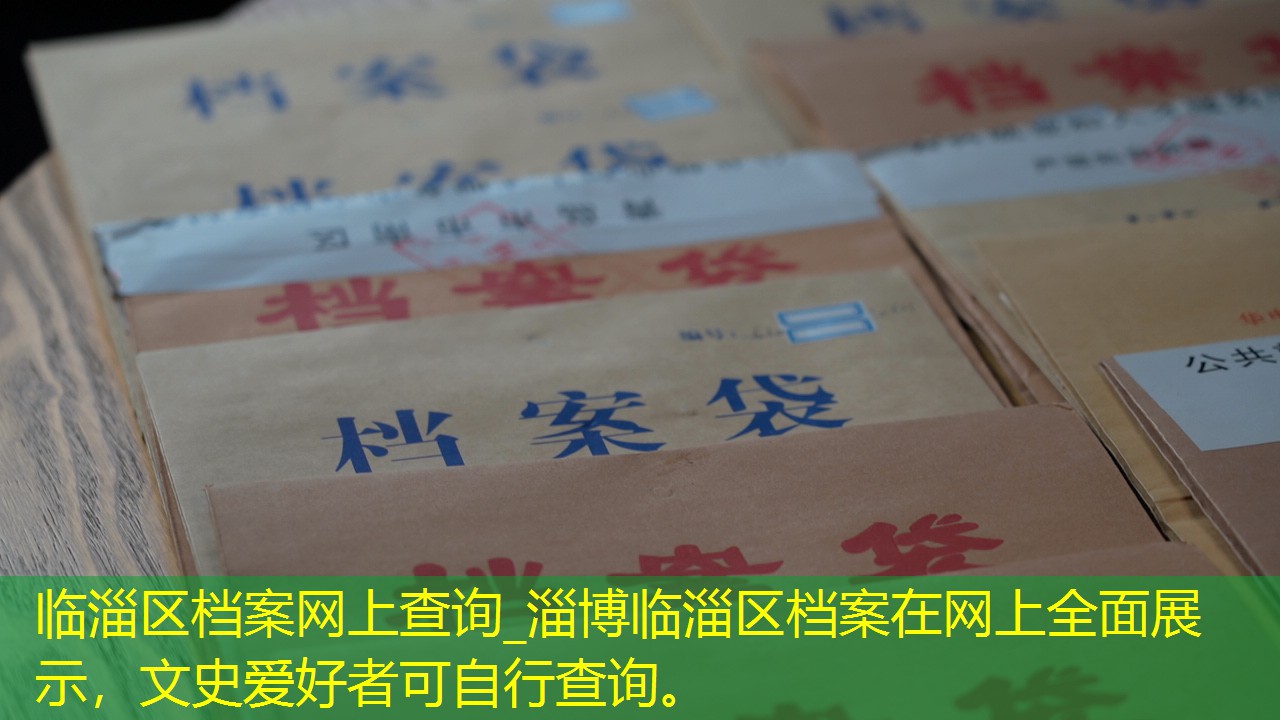 档案查询