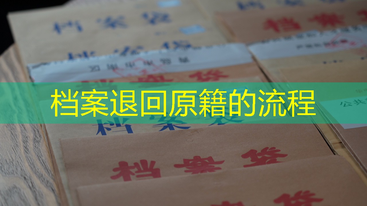 档案查询