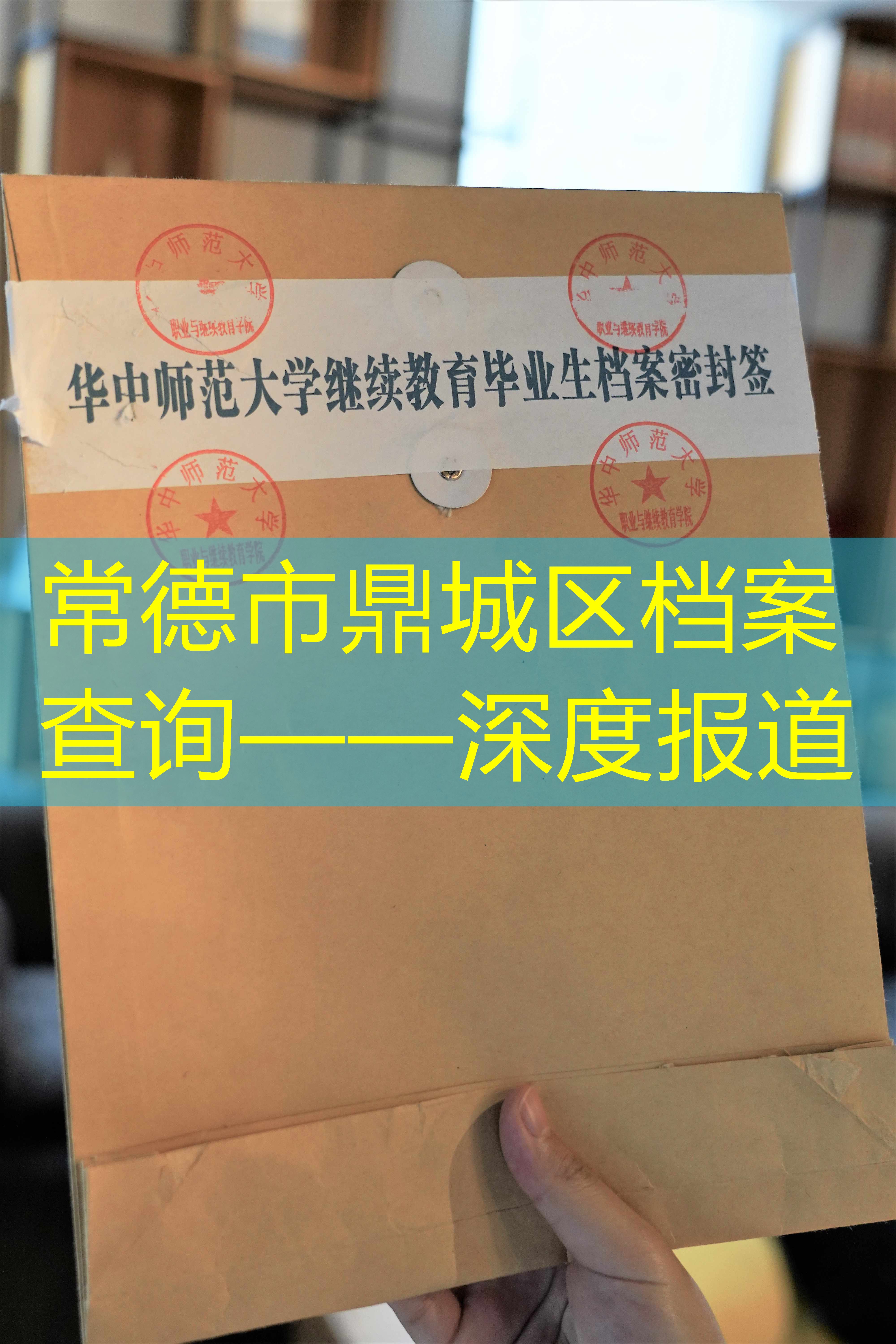 档案查询