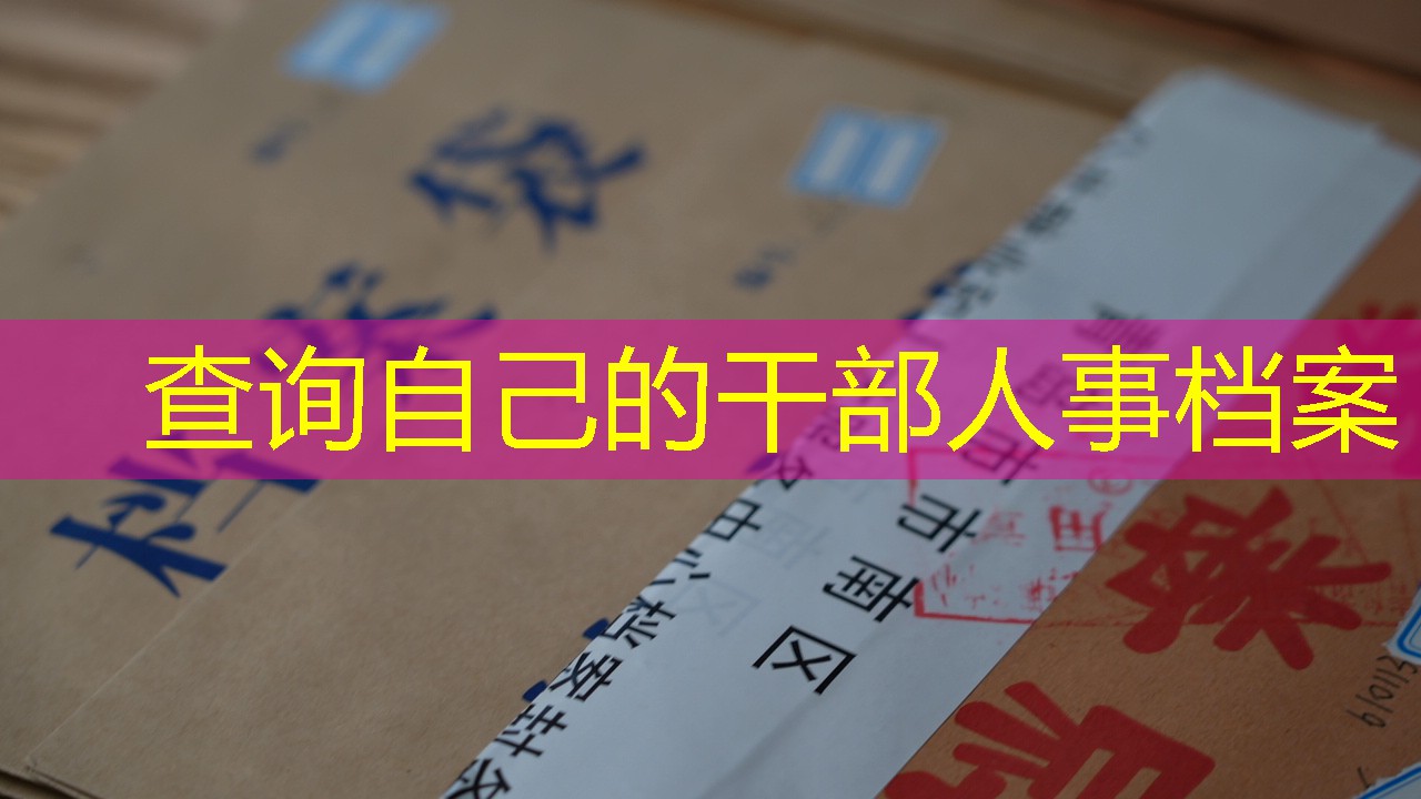 档案查询