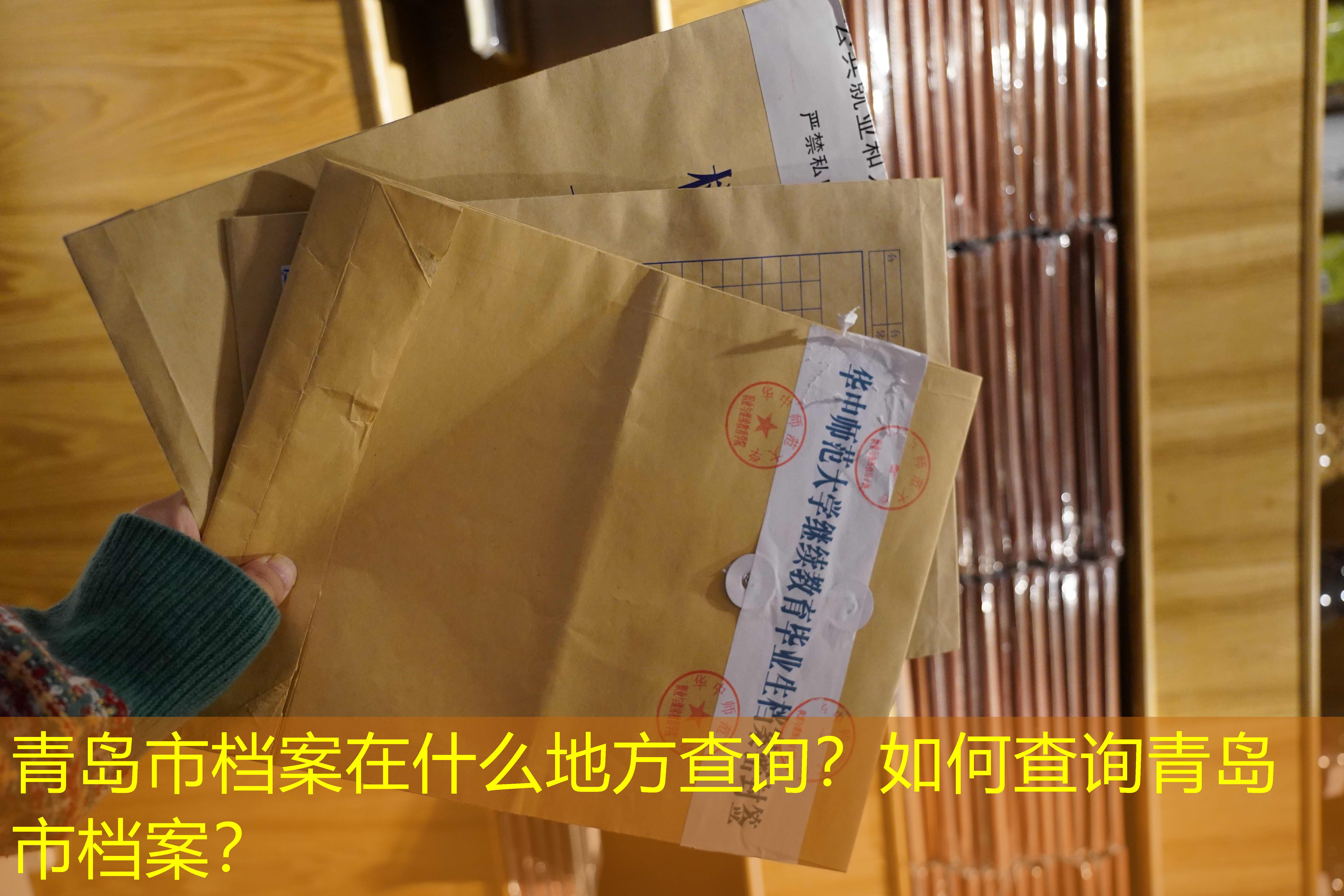 档案查询