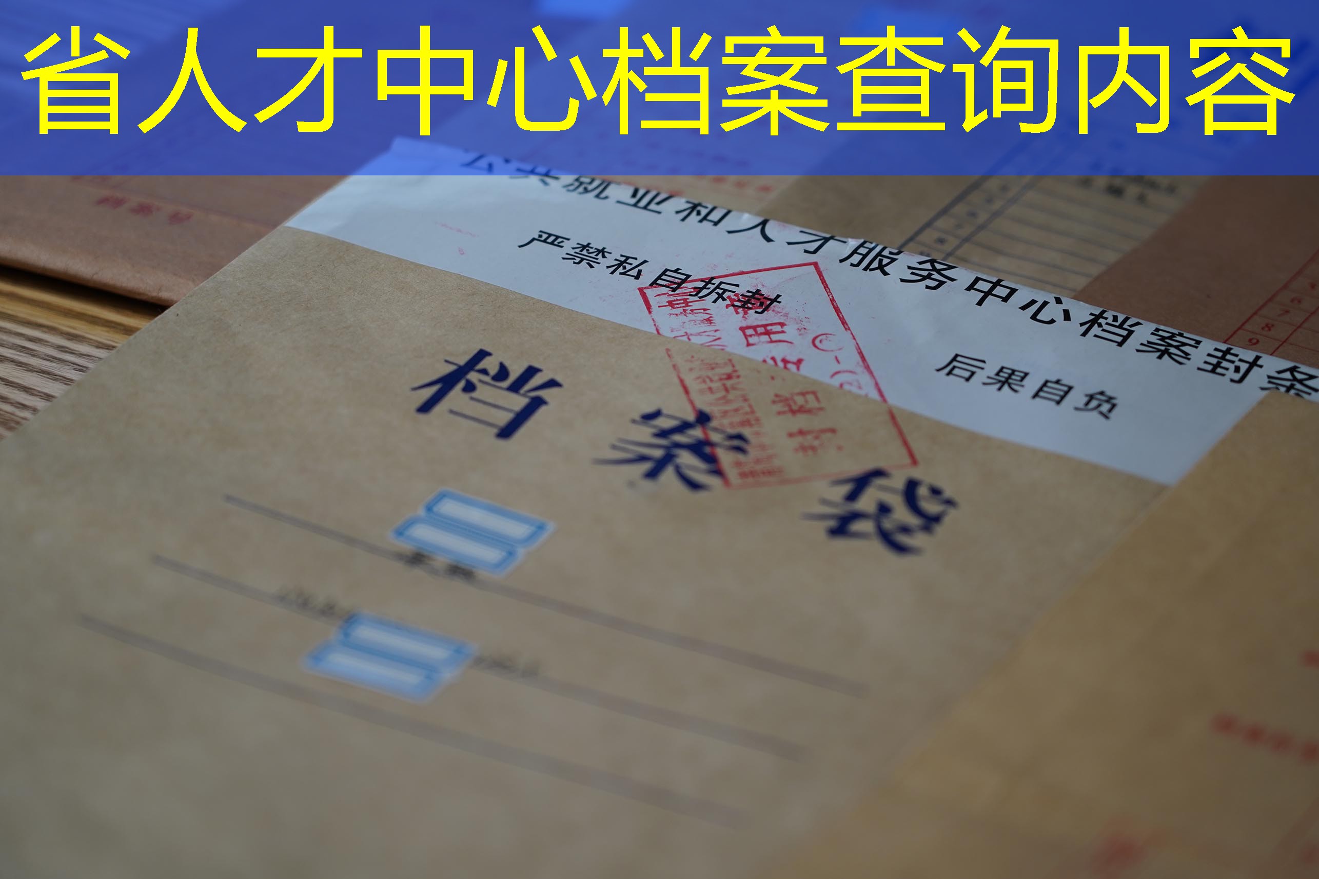 档案查询