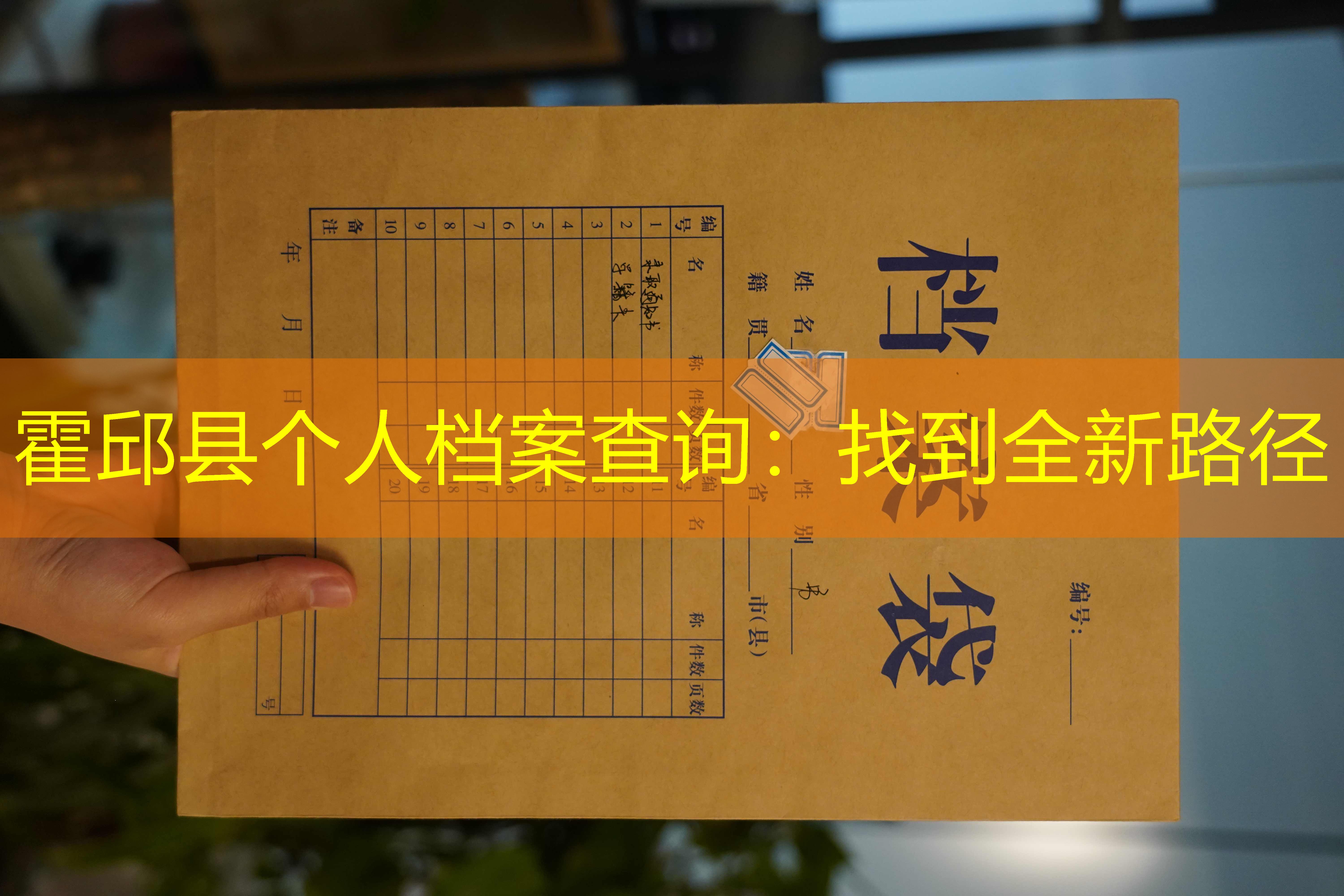 档案查询