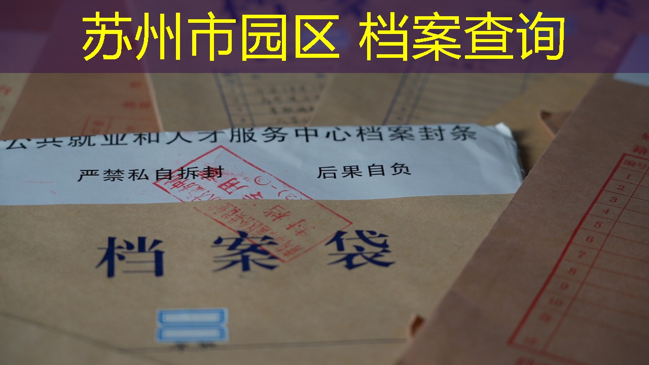 档案查询
