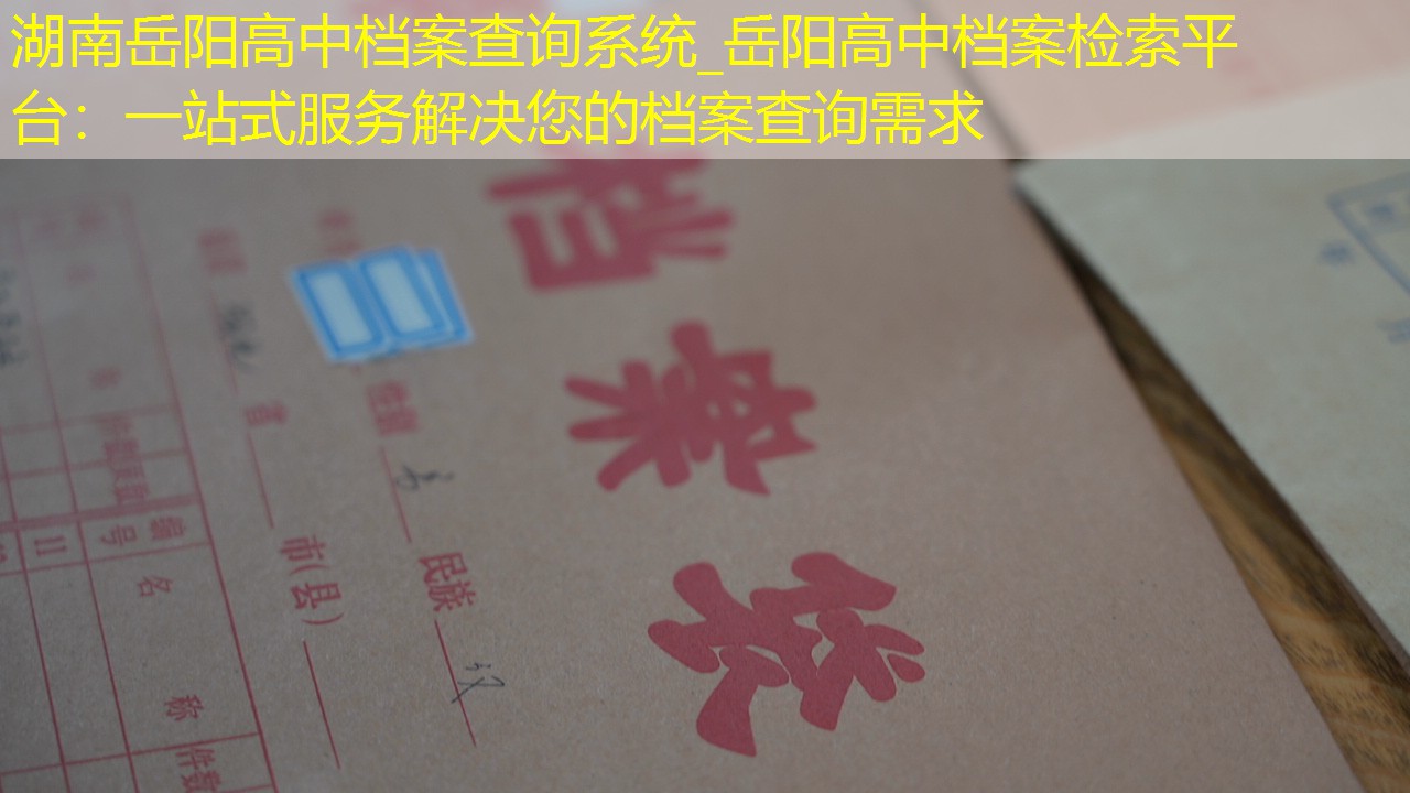 档案查询