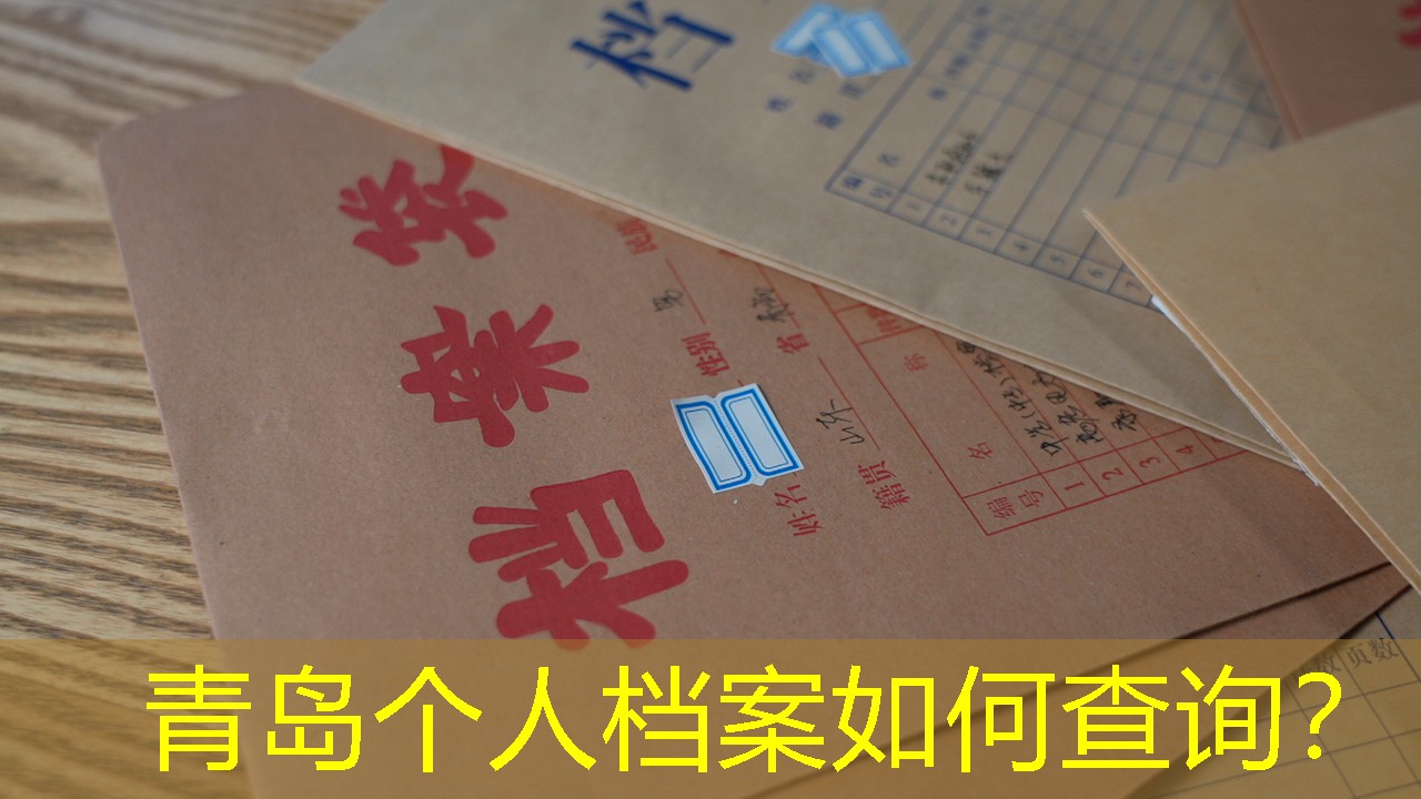 档案查询
