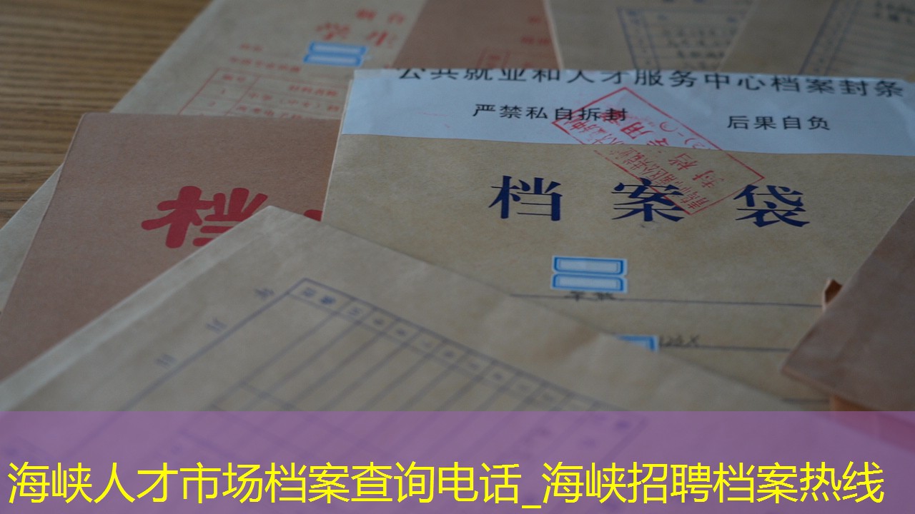 档案查询