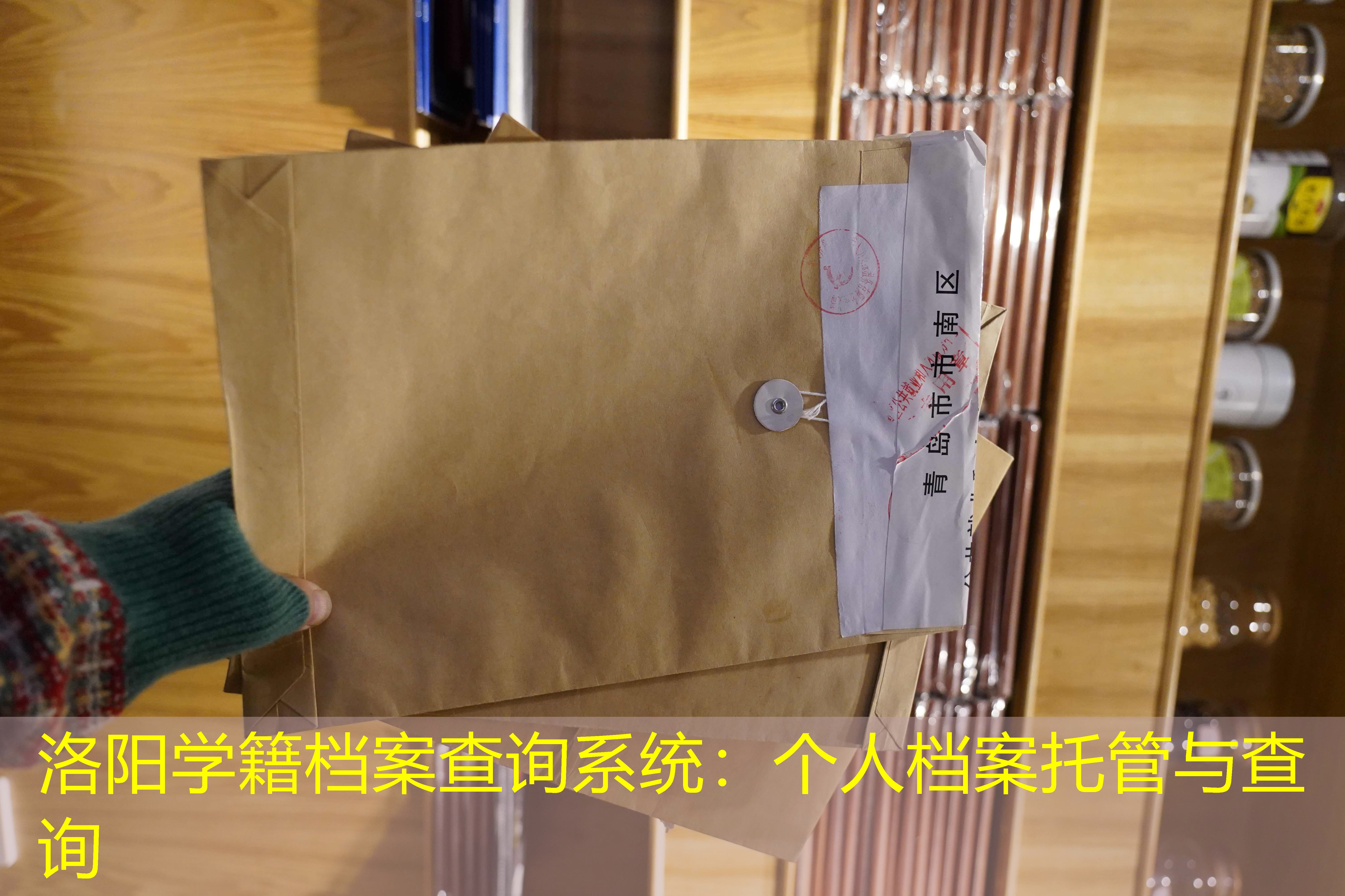 档案查询