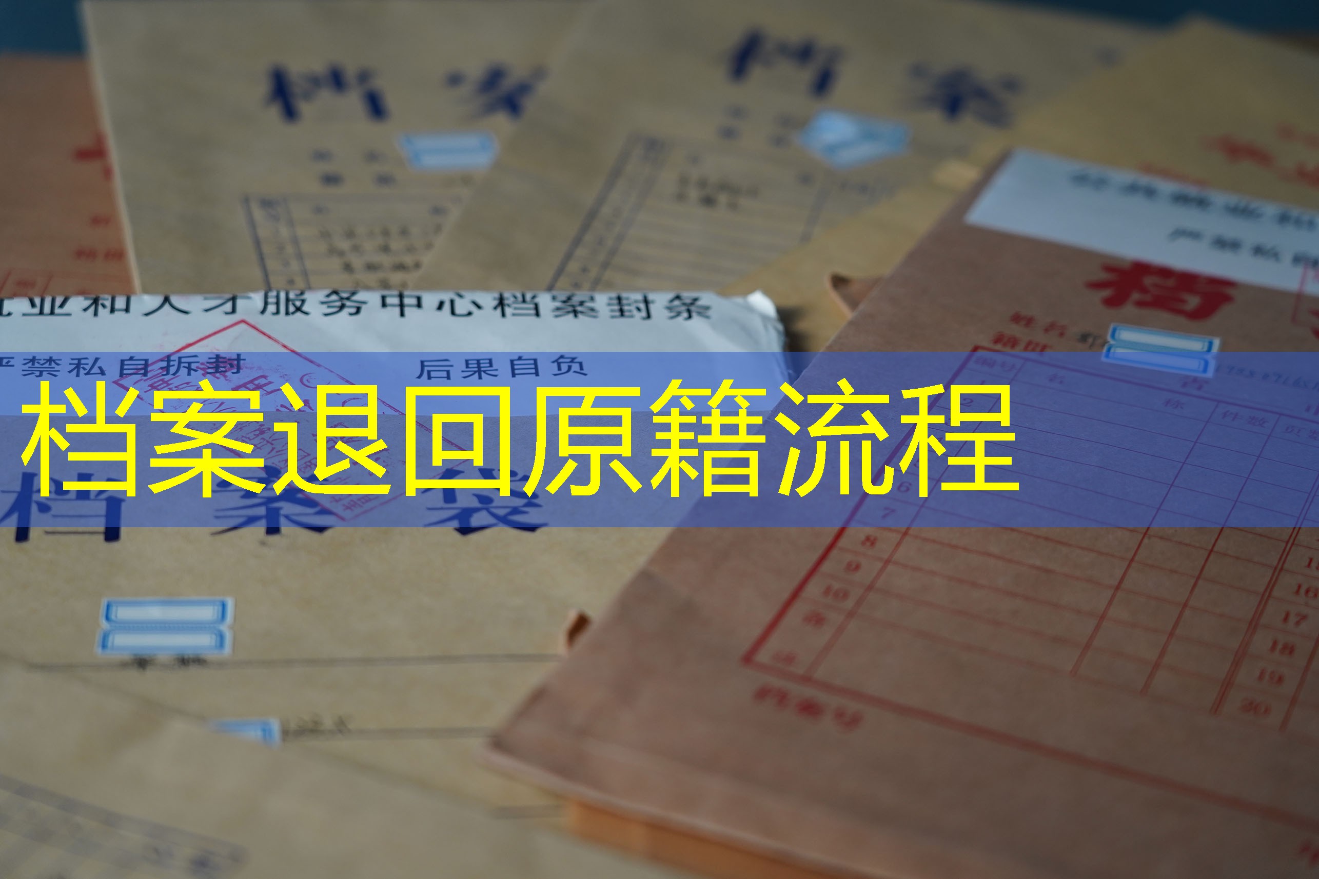 档案查询