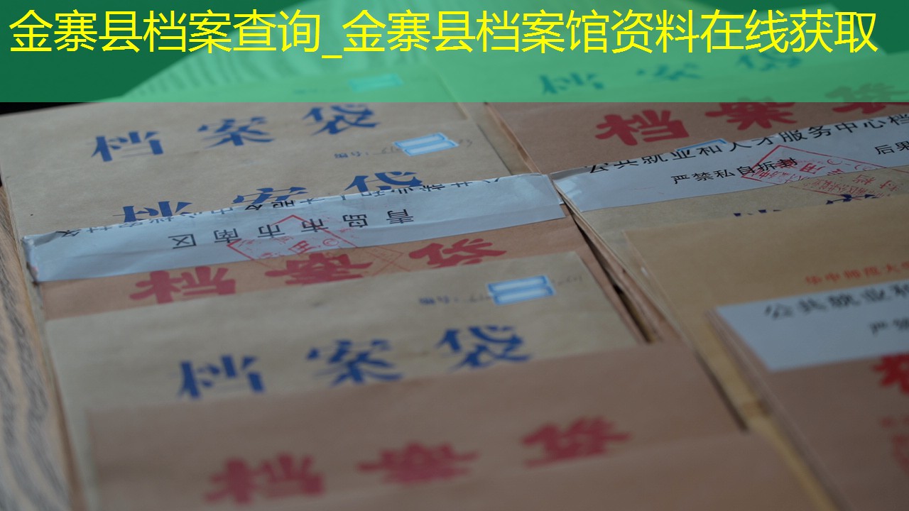 档案查询