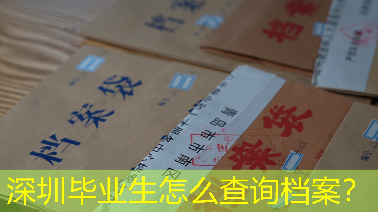 档案查询