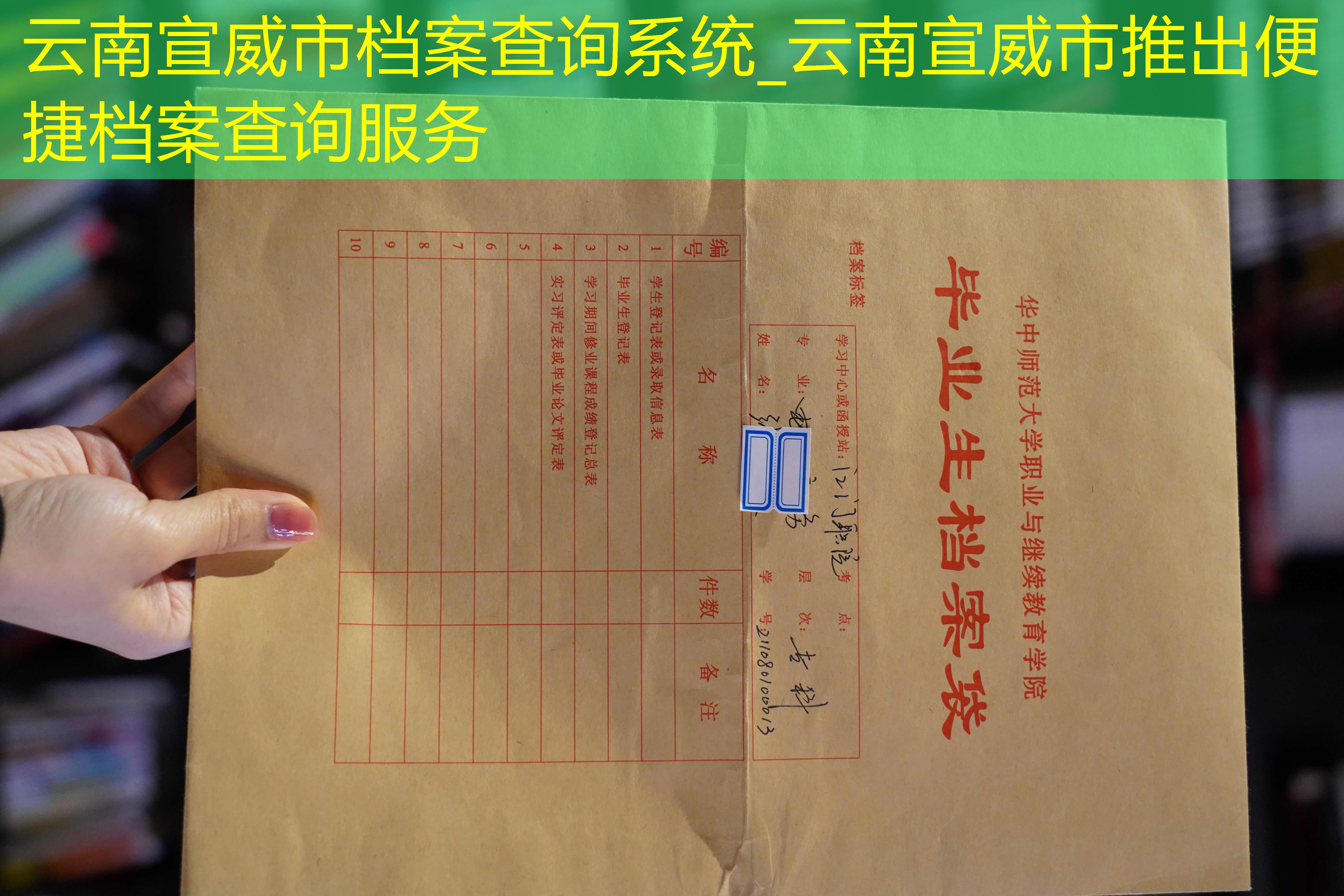 档案查询
