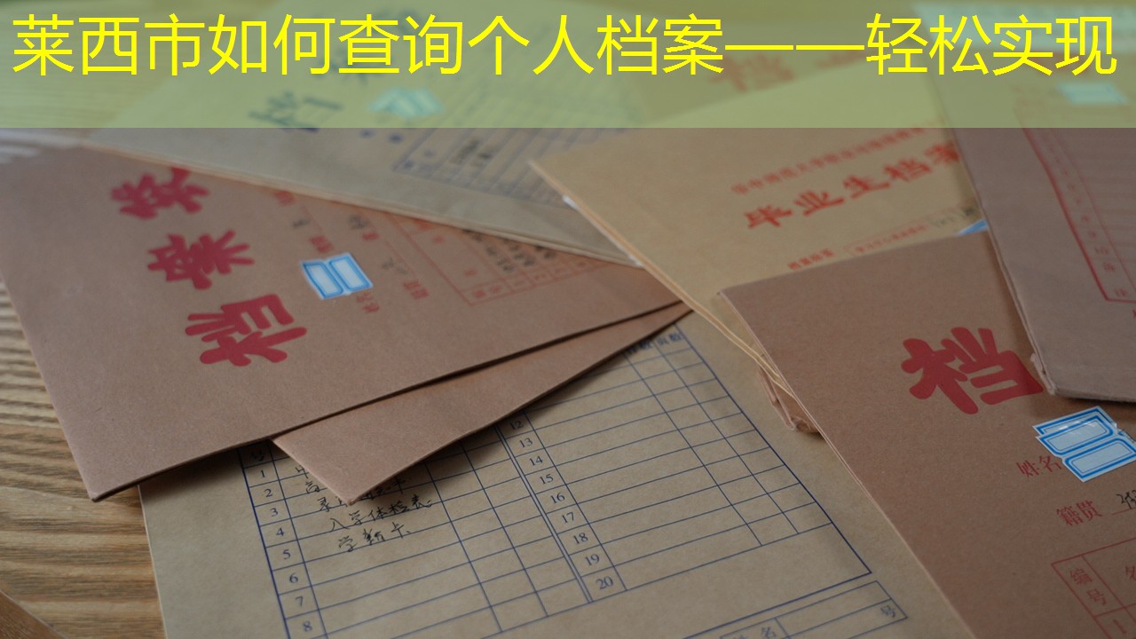档案查询