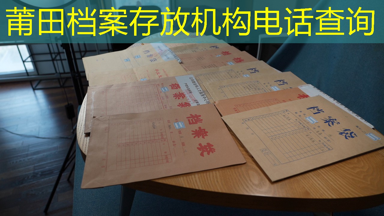 档案查询