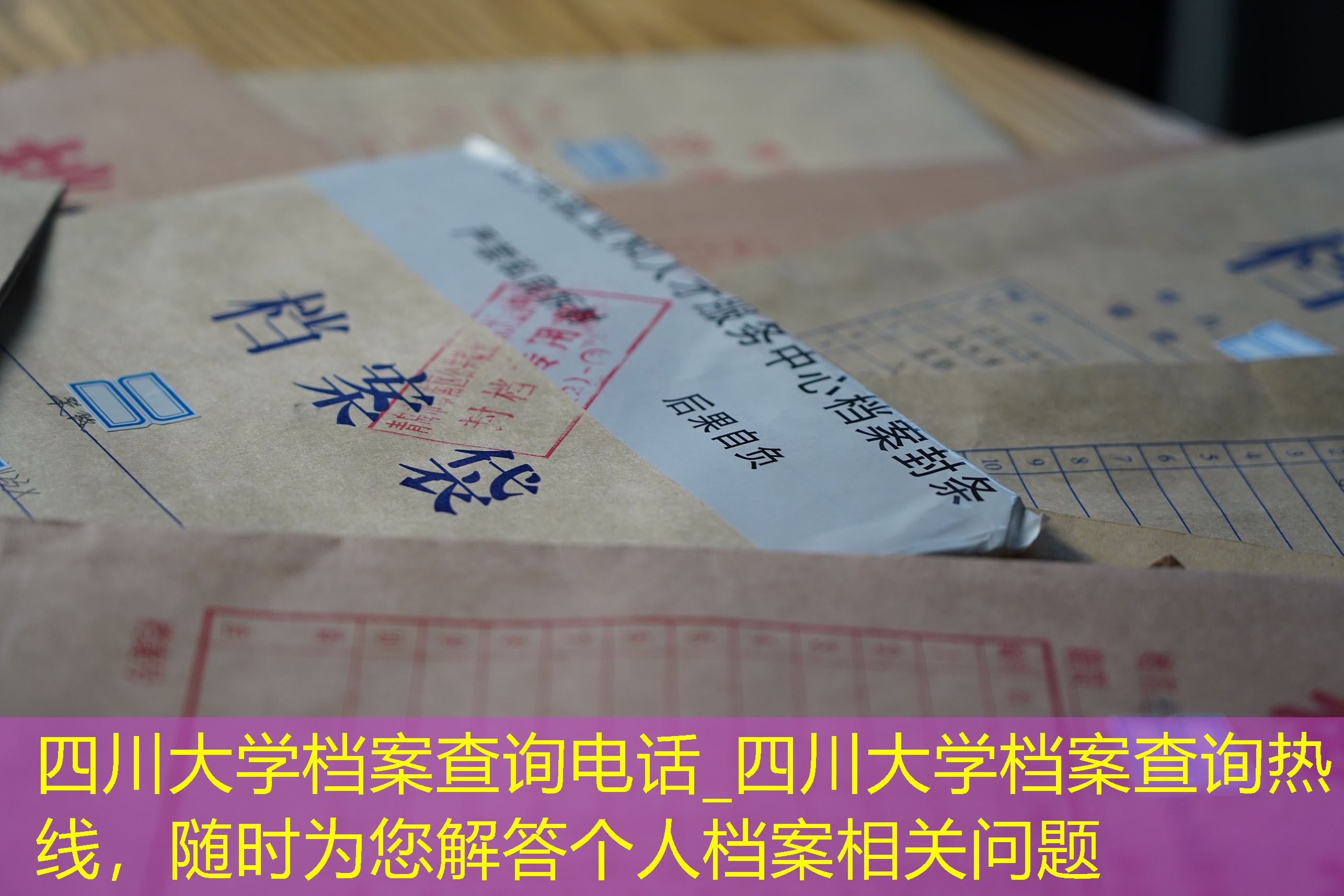 档案查询