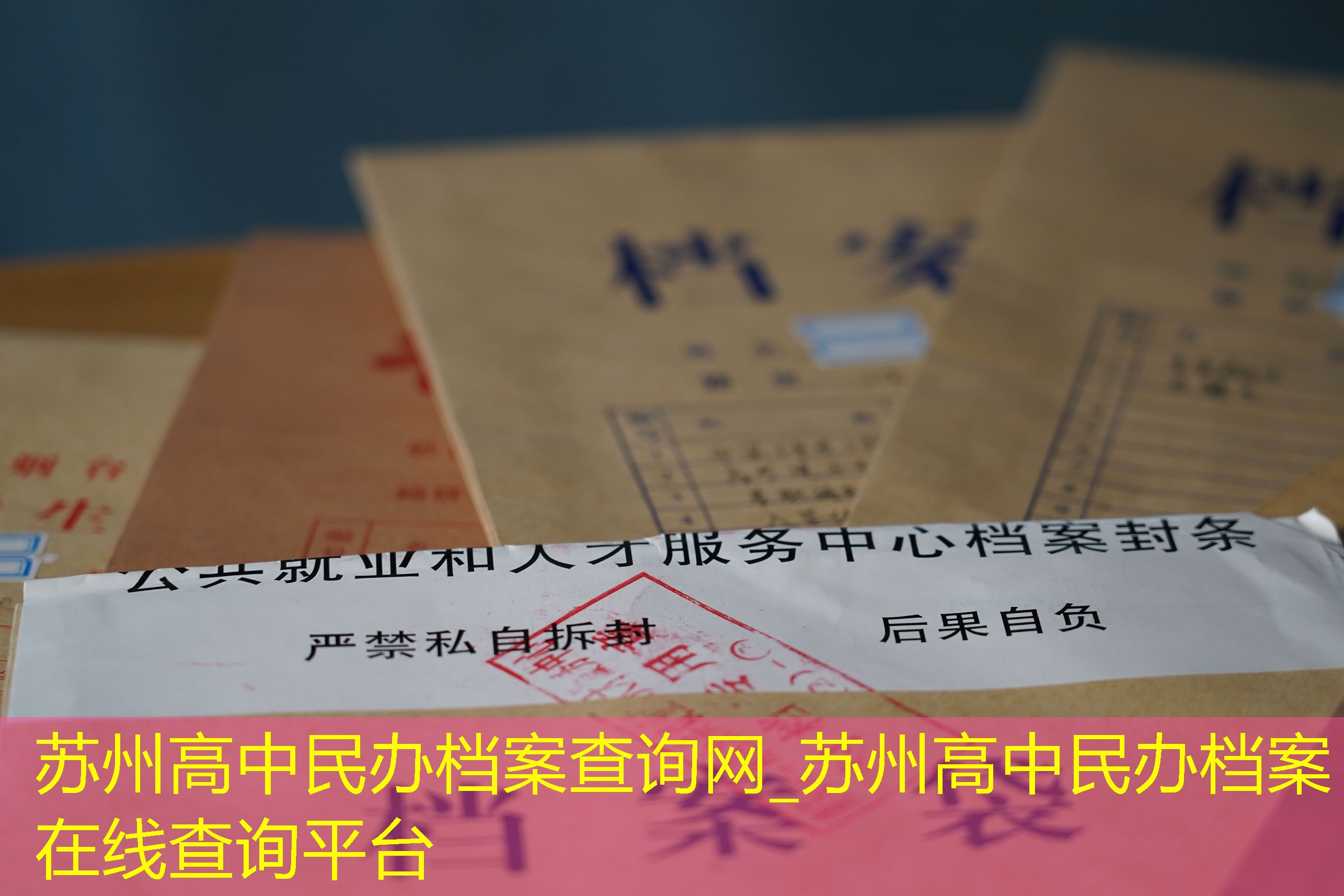 档案查询