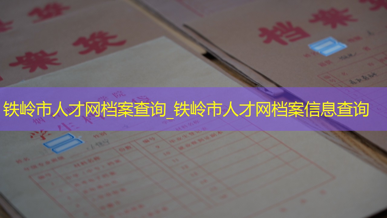 档案查询