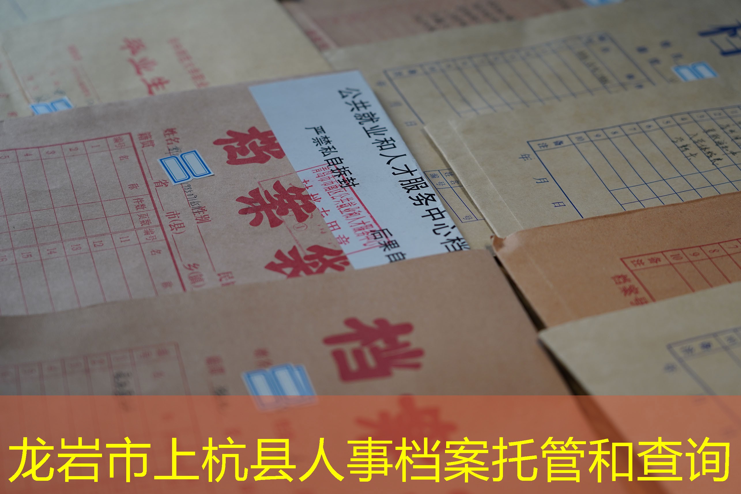 档案查询
