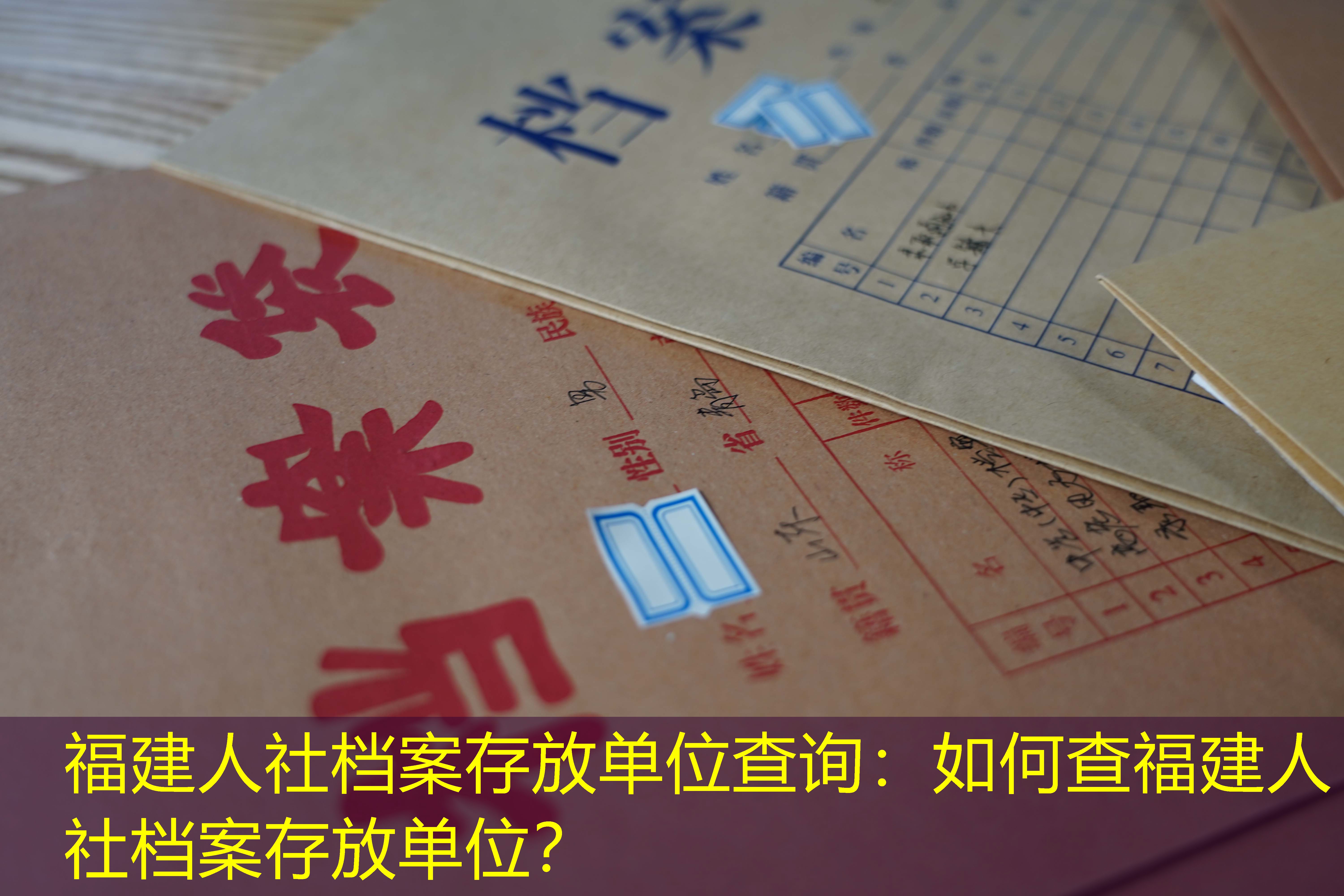 档案查询