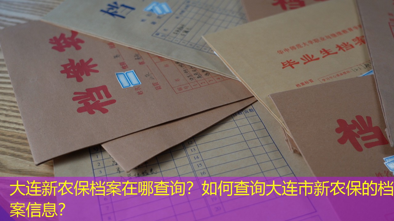 档案查询