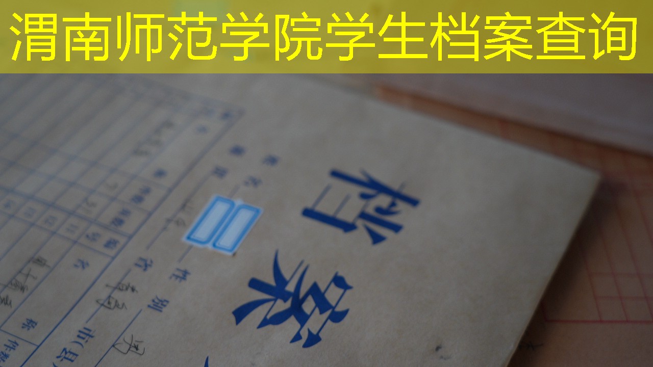 档案查询