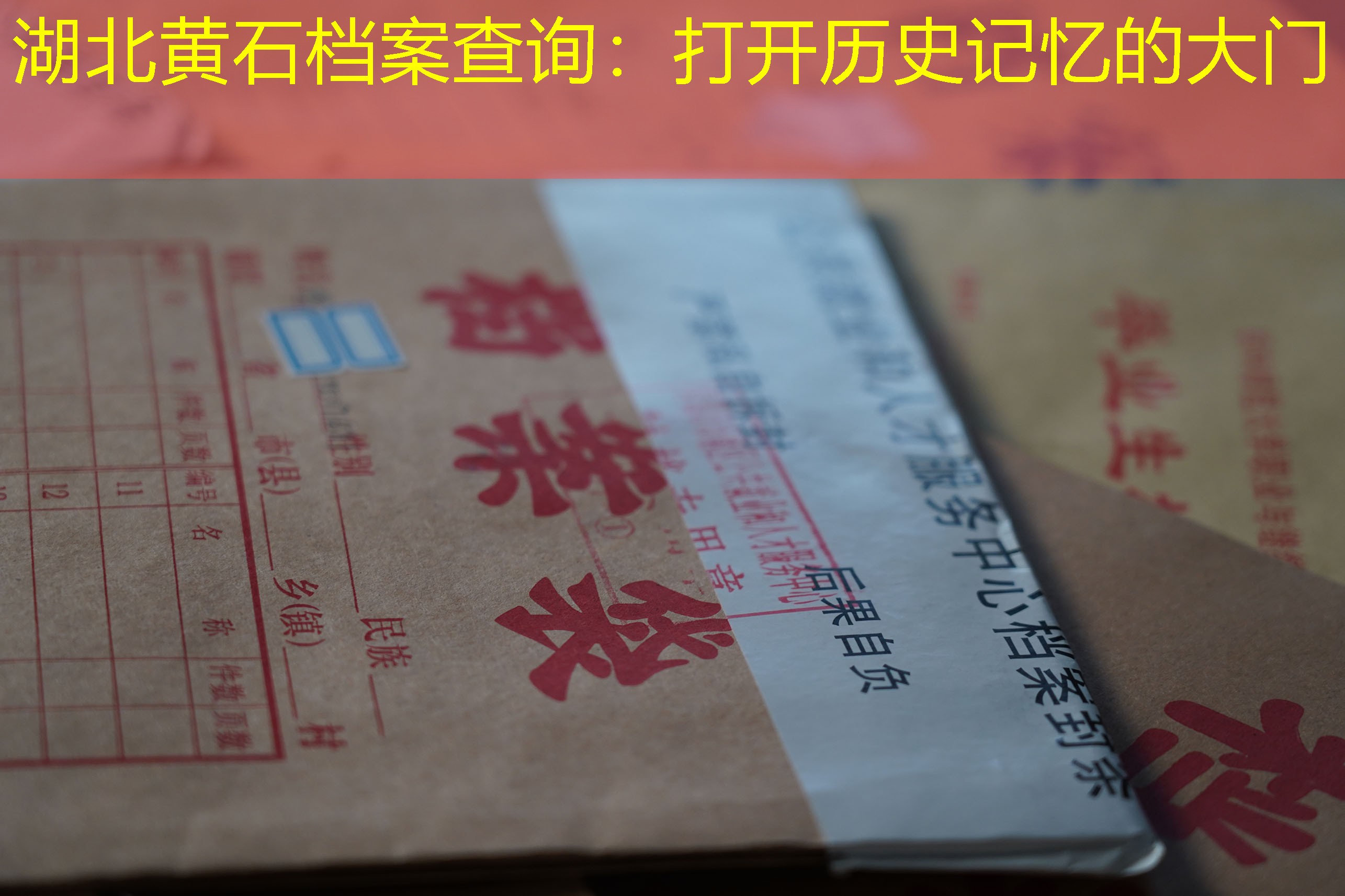 档案查询