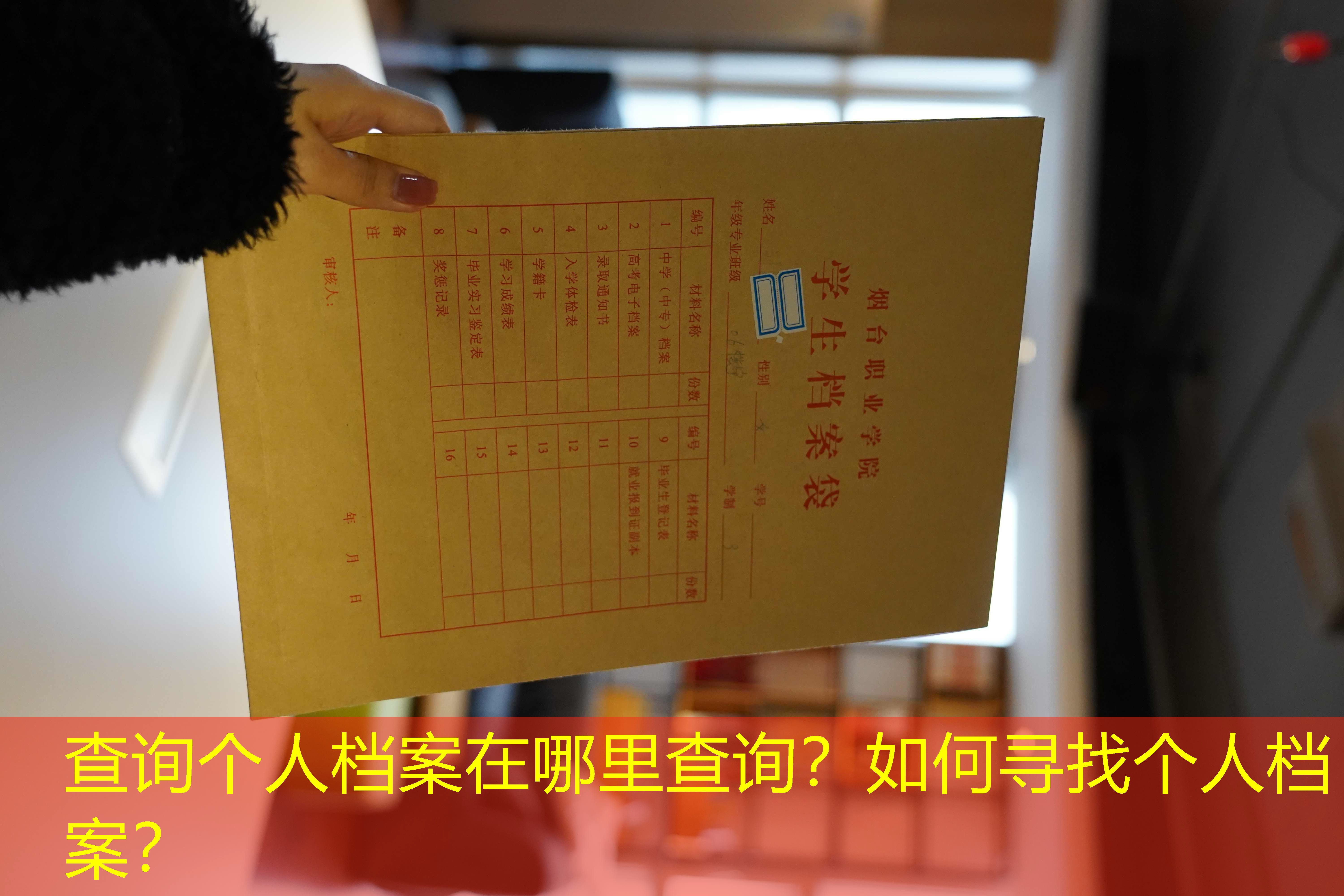 档案查询