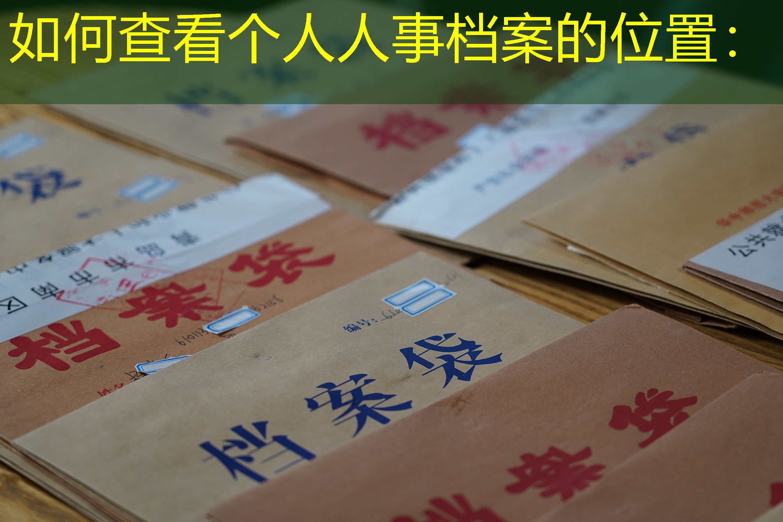 档案查询