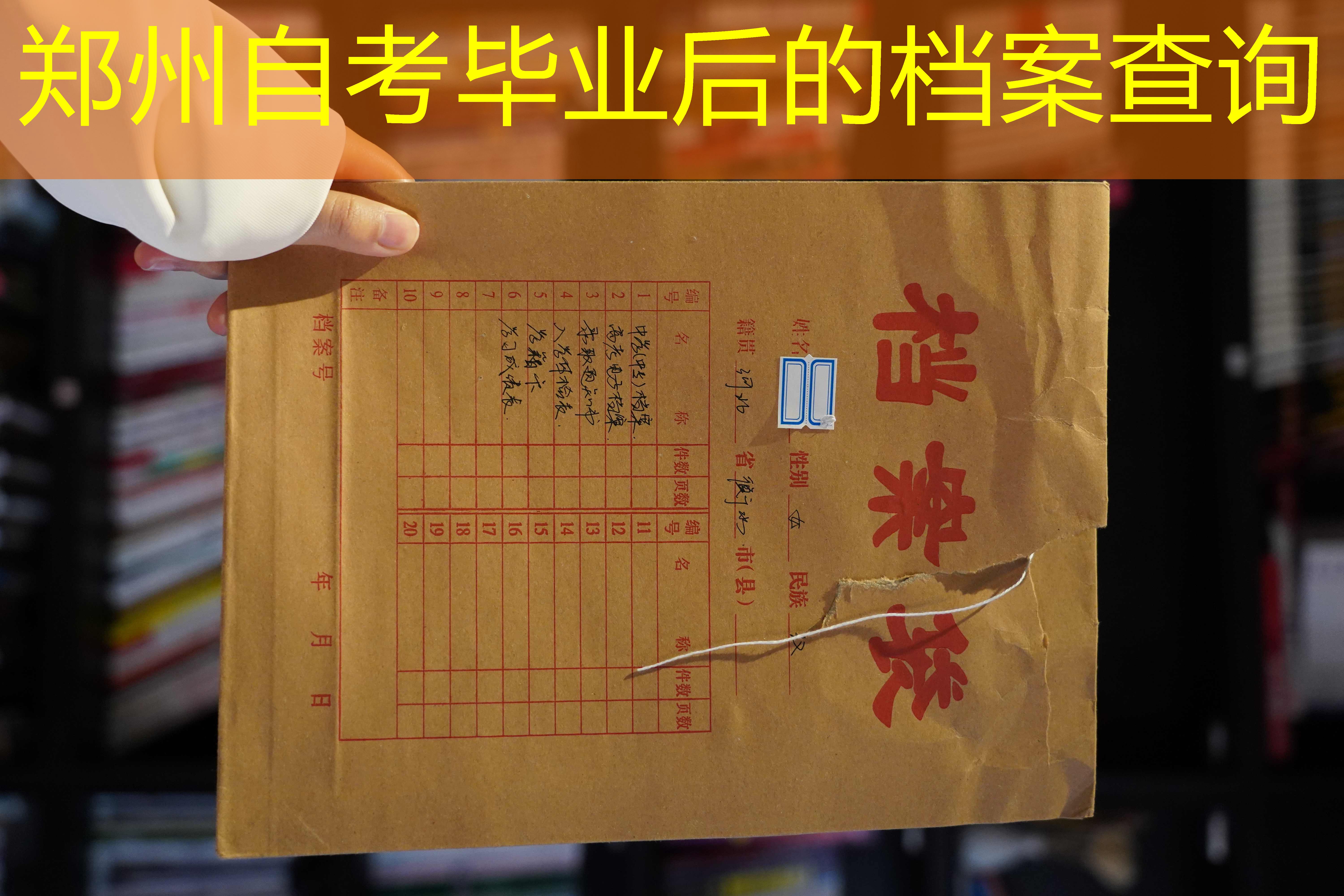 档案查询