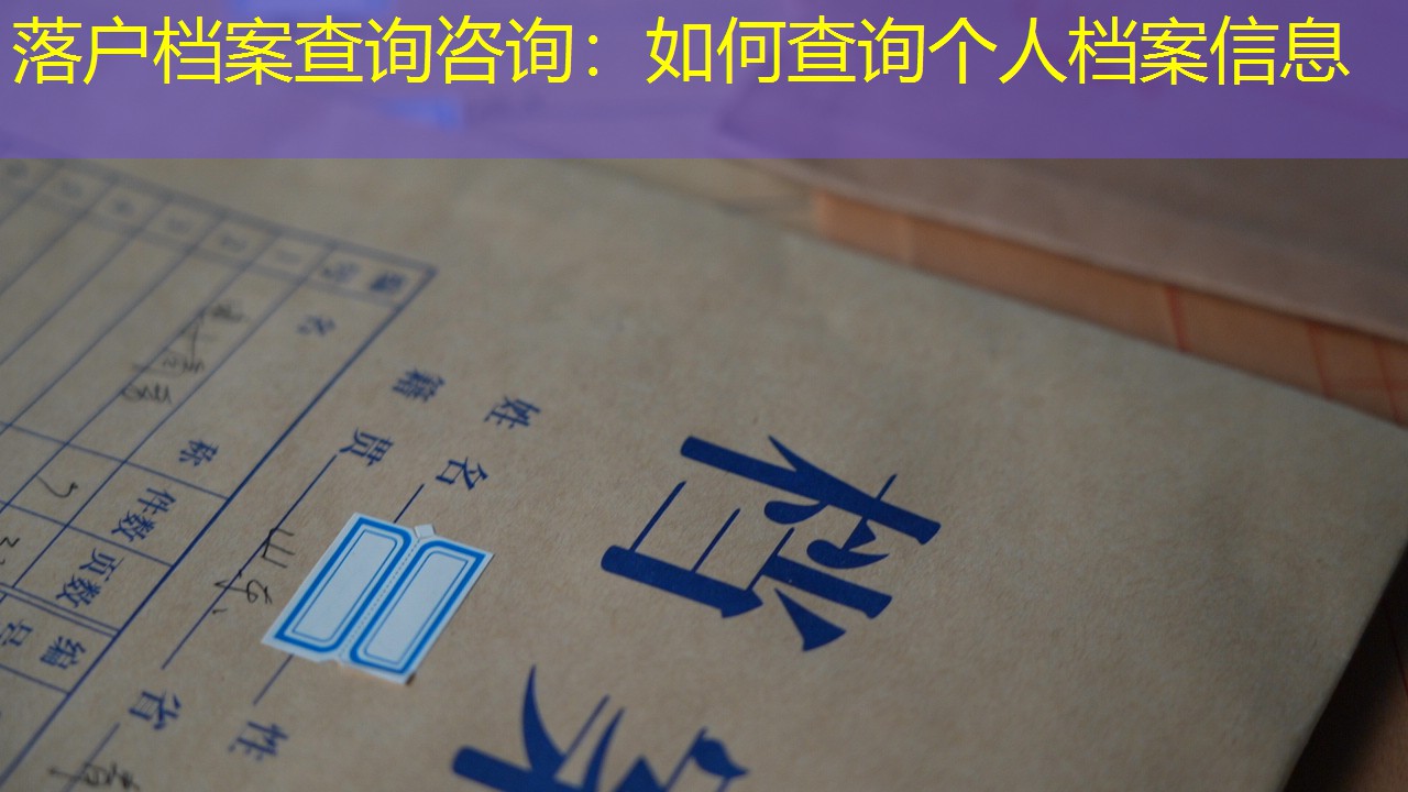 档案查询