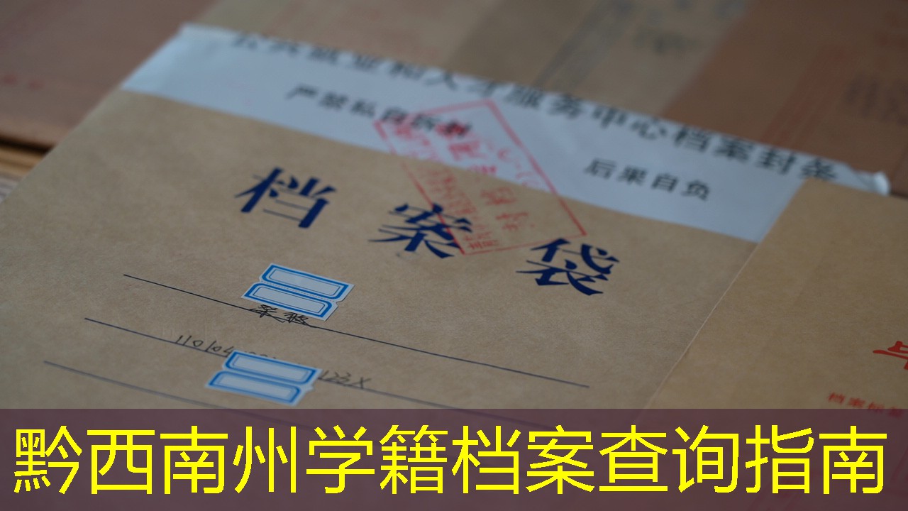 档案查询